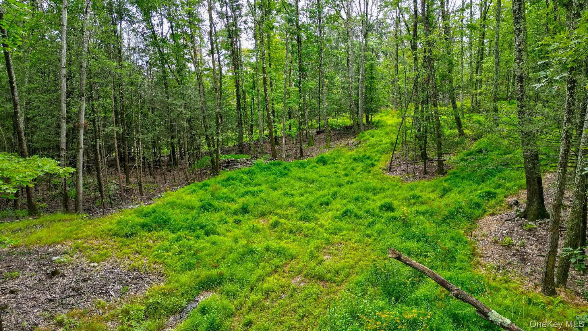 Lot 1 Pantelop Road, Mamakating, NY, 4 Bedrooms Bedrooms, 12 Rooms Rooms,2 BathroomsBathrooms,Residential,For Rent,Pantelop,0,1038721 Lot 1 Pantelop Road, Mamakating, NY, 4 Bedrooms Bedrooms, 12 Rooms Rooms,2 BathroomsBathrooms,Residential,For Rent,Pantelop,0,1038721