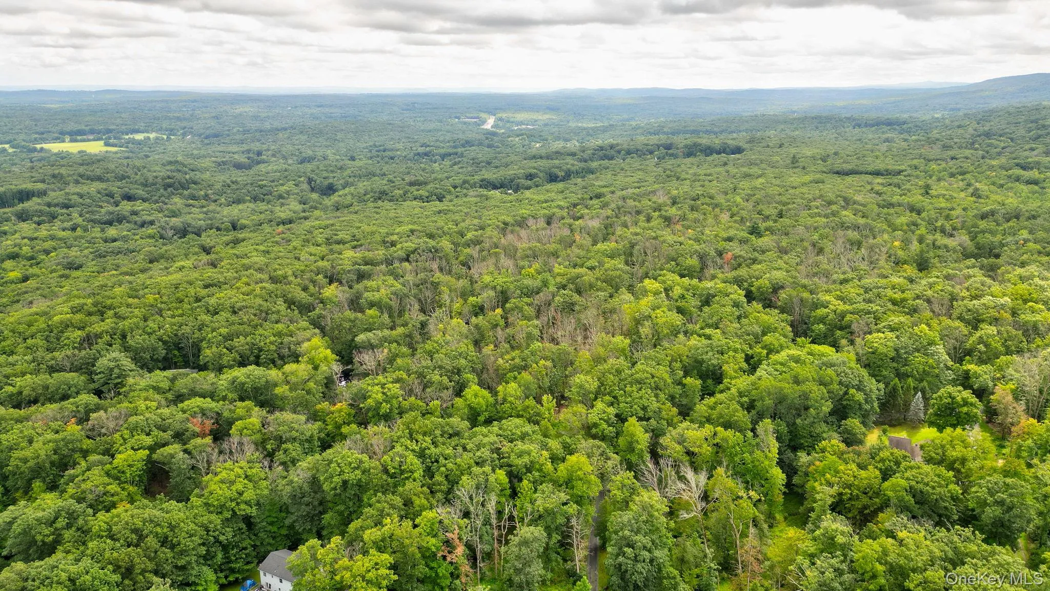 Lot 1 Pantelop Road, Mamakating, NY, 4 Bedrooms Bedrooms, 12 Rooms Rooms,2 BathroomsBathrooms,Residential,For Rent,Pantelop,0,1038721 Lot 1 Pantelop Road, Mamakating, NY, 4 Bedrooms Bedrooms, 12 Rooms Rooms,2 BathroomsBathrooms,Residential,For Rent,Pantelop,0,1038721