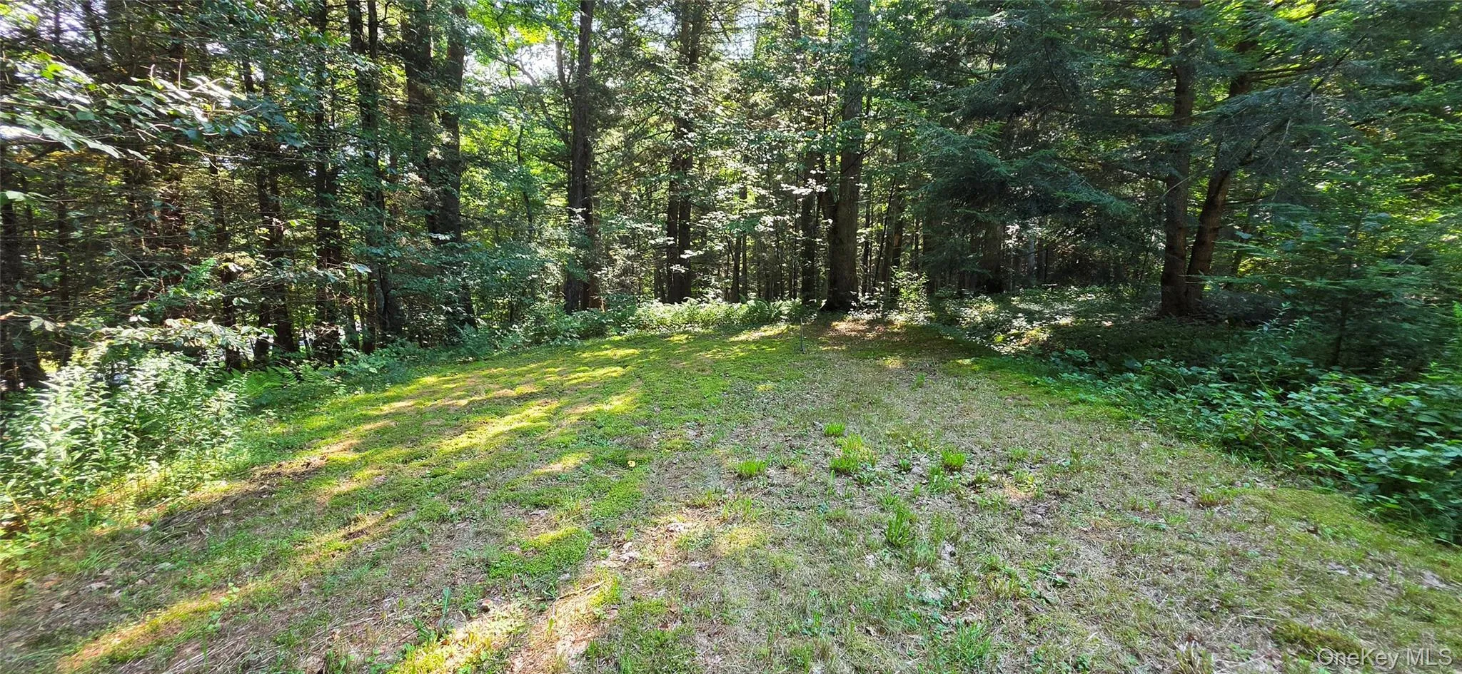 7606 NYS 52, Tusten, NY, 2 Bedrooms Bedrooms, 8 Rooms Rooms,1 BathroomBathrooms,Residential,For Rent,NYS 52,0,1038727 7606 NYS 52, Tusten, NY, 2 Bedrooms Bedrooms, 8 Rooms Rooms,1 BathroomBathrooms,Residential,For Rent,NYS 52,0,1038727
