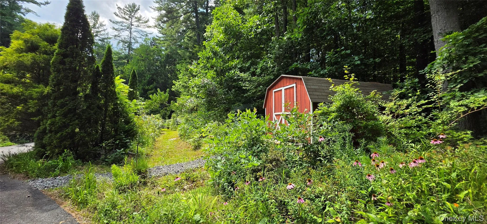 Shed Shed