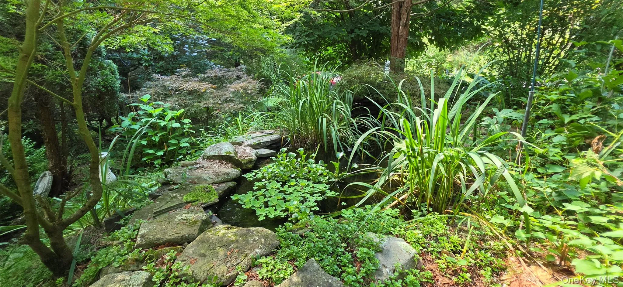 7606 NYS 52, Tusten, NY, 2 Bedrooms Bedrooms, 8 Rooms Rooms,1 BathroomBathrooms,Residential,For Rent,NYS 52,0,1038727 7606 NYS 52, Tusten, NY, 2 Bedrooms Bedrooms, 8 Rooms Rooms,1 BathroomBathrooms,Residential,For Rent,NYS 52,0,1038727