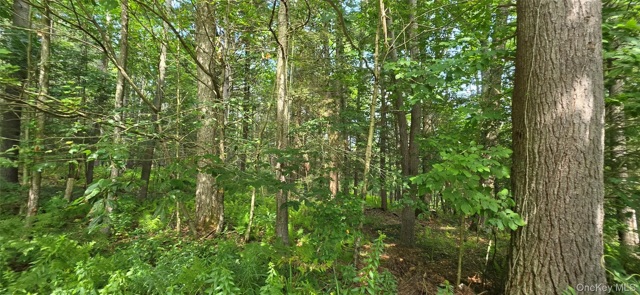 7606 NYS 52, Tusten, NY, 2 Bedrooms Bedrooms, 8 Rooms Rooms,1 BathroomBathrooms,Residential,For Rent,NYS 52,0,1038727 7606 NYS 52, Tusten, NY, 2 Bedrooms Bedrooms, 8 Rooms Rooms,1 BathroomBathrooms,Residential,For Rent,NYS 52,0,1038727