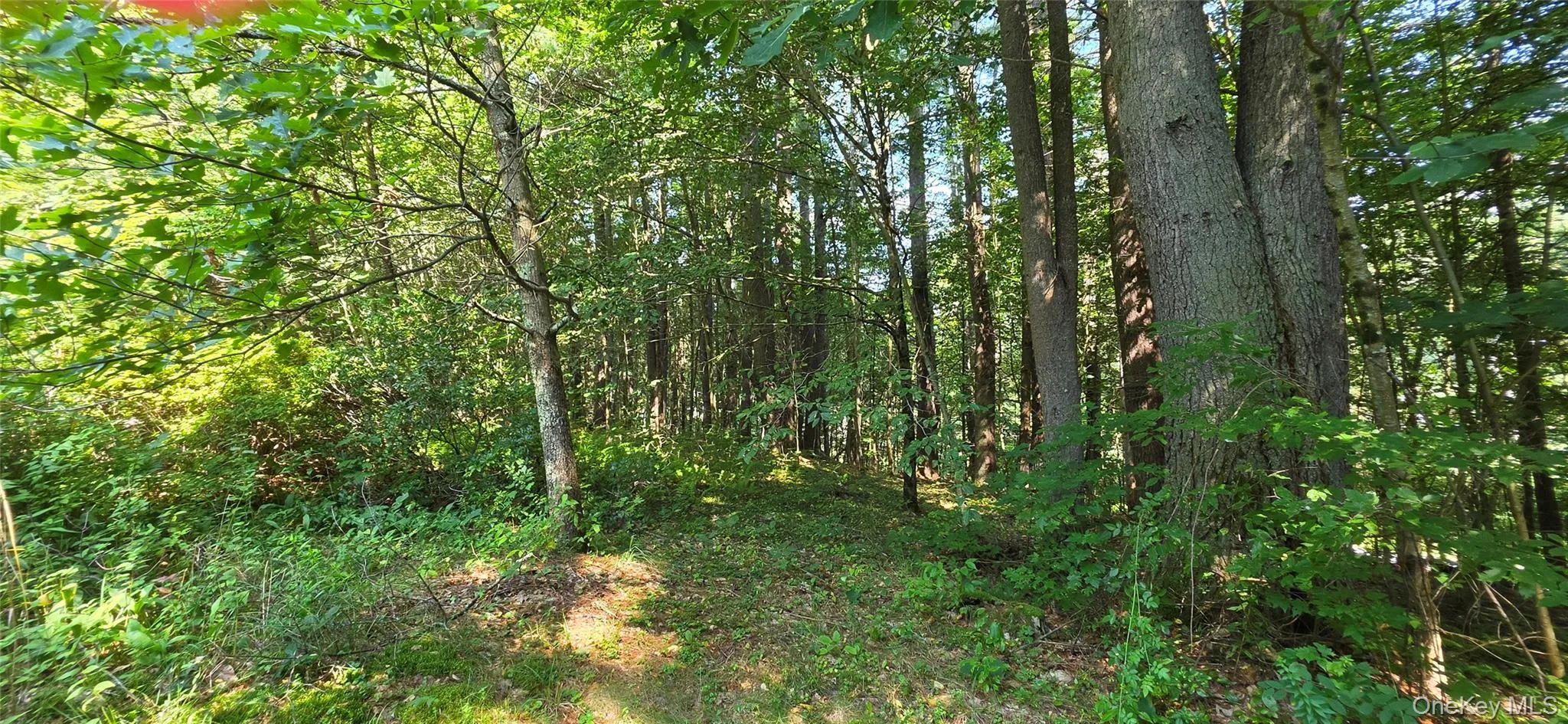 Lot 6 NYS 52, Tusten, NY, ,Land,For Rent,NYS 52,0,1038729 Lot 6 NYS 52, Tusten, NY, ,Land,For Rent,NYS 52,0,1038729
