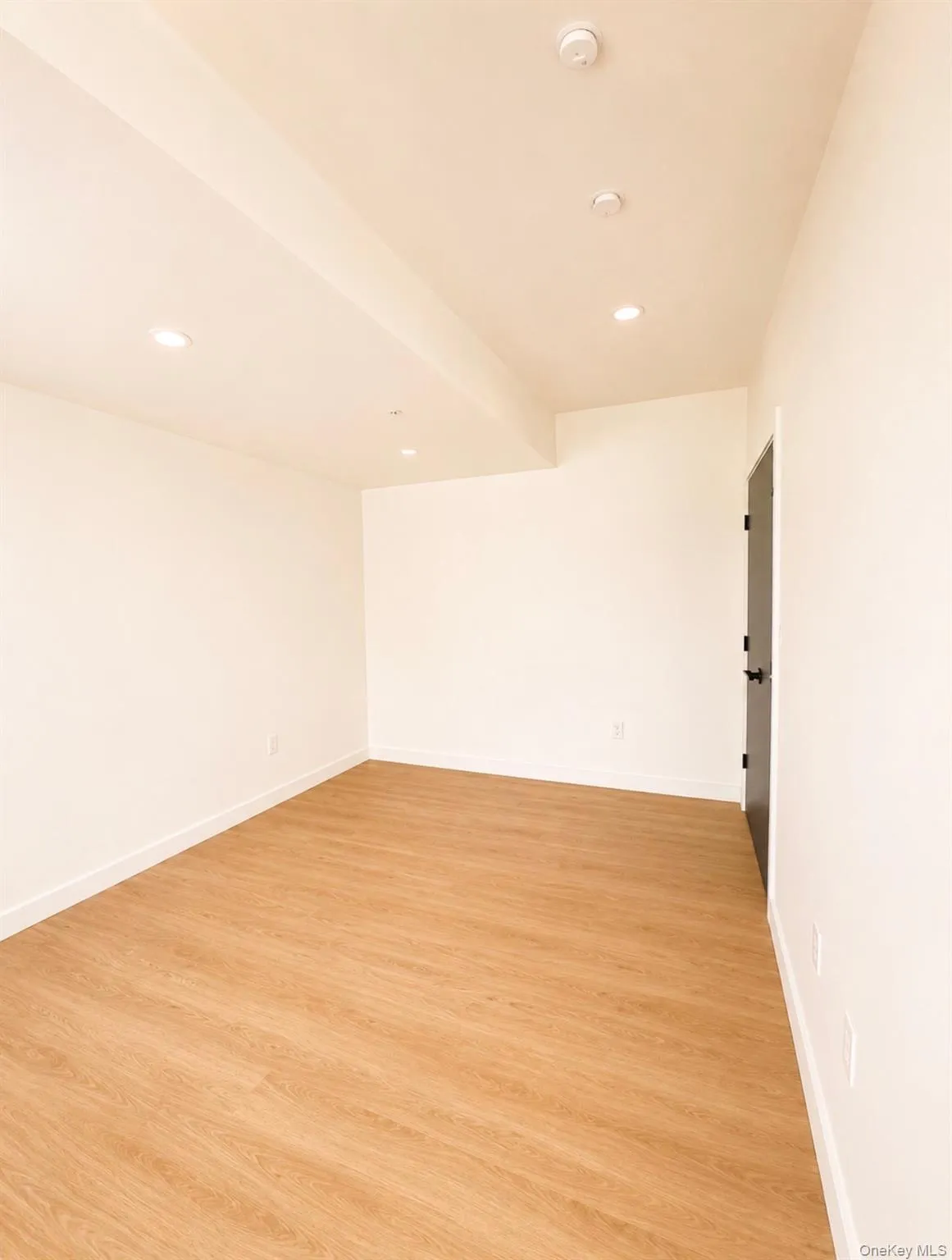 Wood-finish flooring throughout, recessed lighting, and a dark-paneled interior door with black hardware Wood-finish flooring throughout, recessed lighting, and a dark-paneled interior door with black hardware