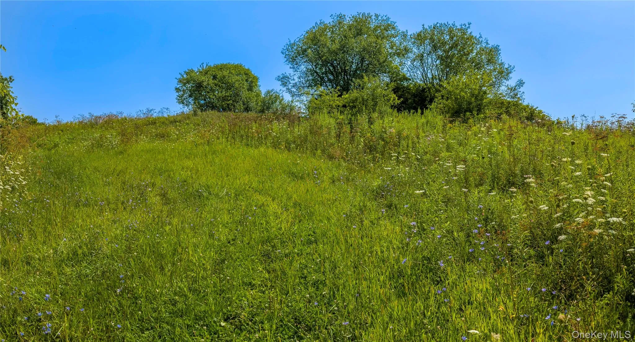 Rolling meadow along the access road into the property. Rolling meadow along the access road into the property.