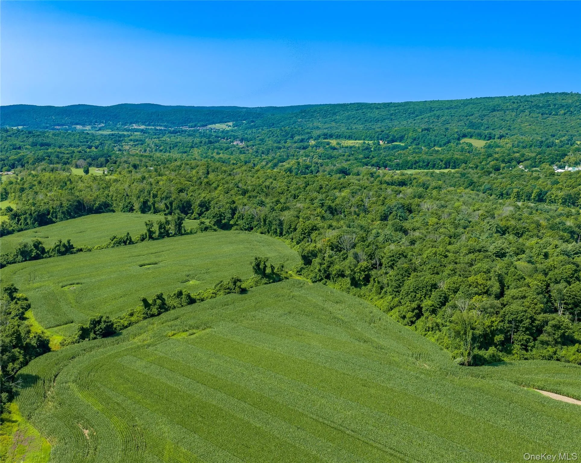 Three south fields, approximately 45 acres cleared, looking southwest. Three south fields, approximately 45 acres cleared, looking southwest.