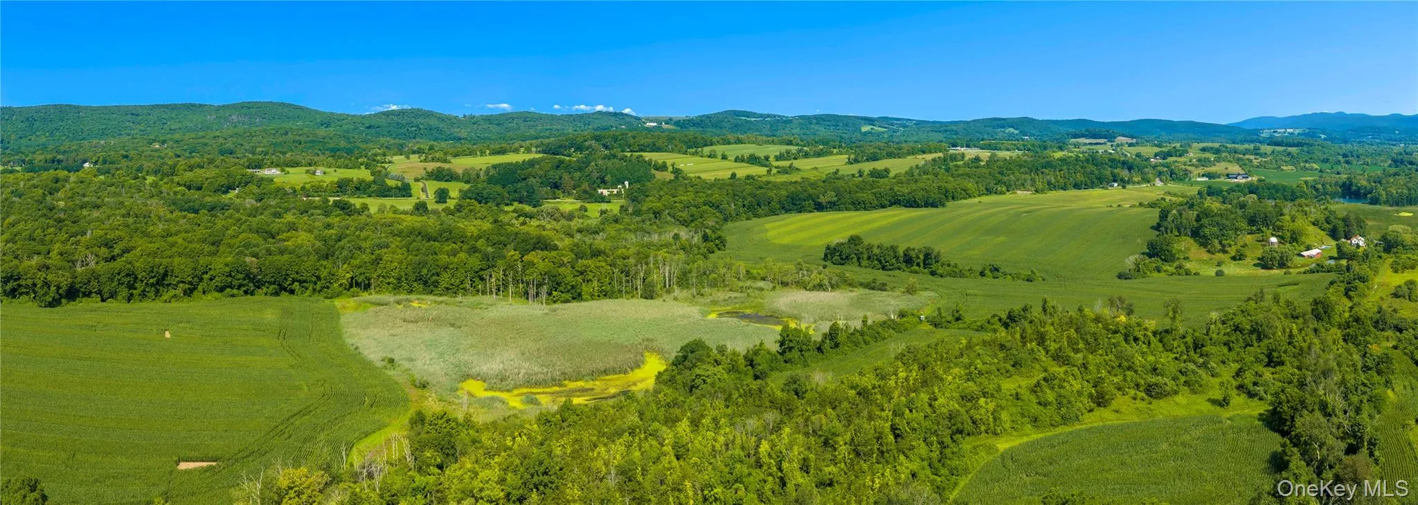 Center of the property with the pond and wetlands. Trails weave through the woods between the two parcels, creating a natural connection throughout this remarkable expanse. Center of the property with the pond and wetlands. Trails weave through the woods between the two parcels, creating a natural connection throughout this remarkable expanse.