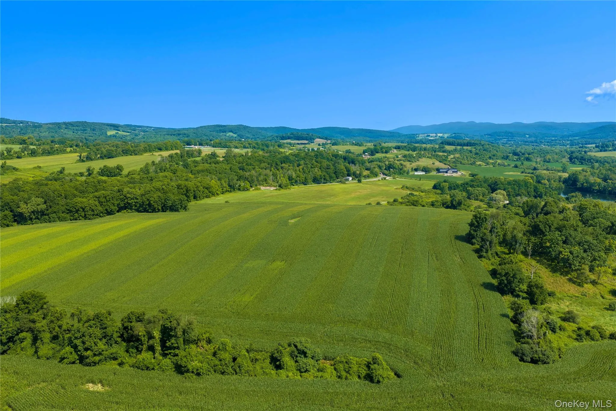 North field, approximately 50 acres cleared, with Route 22 on the left. North field, approximately 50 acres cleared, with Route 22 on the left.