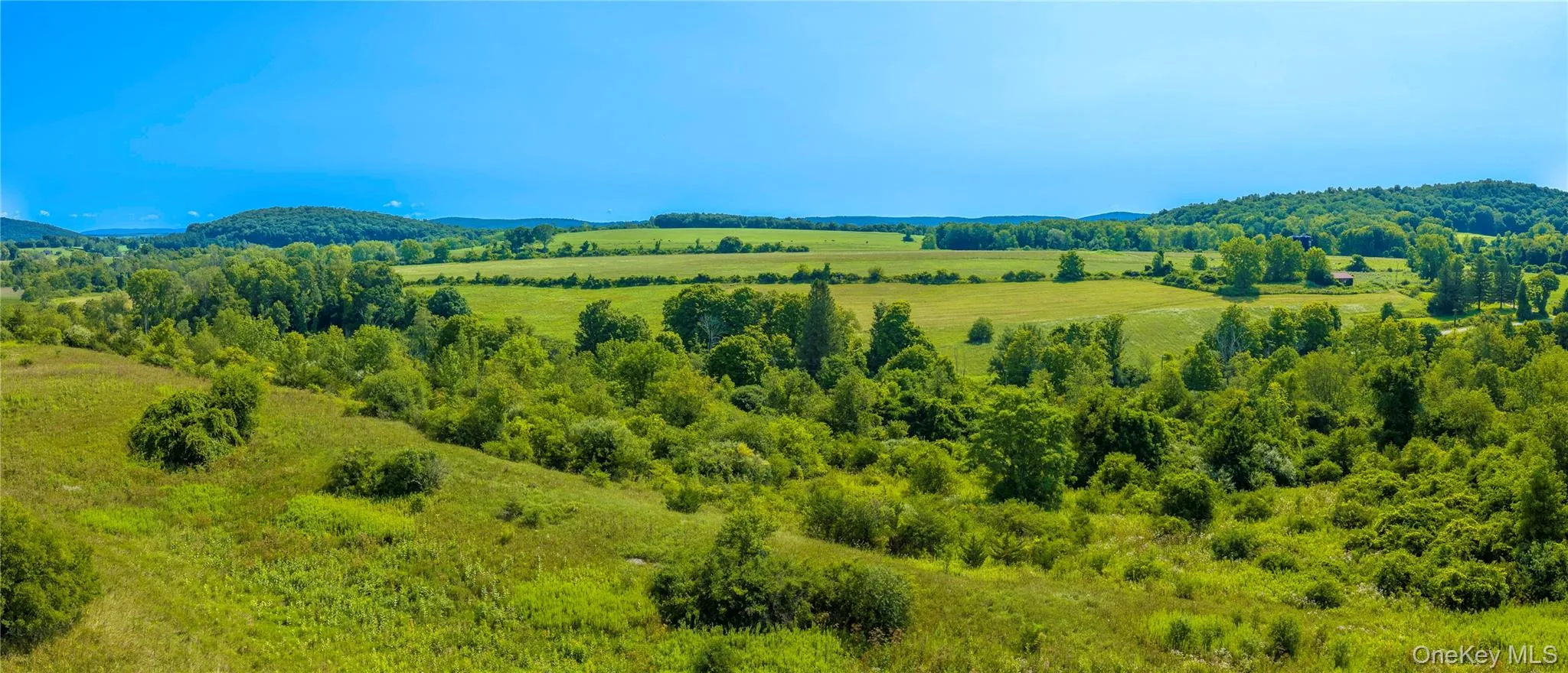 Incredible views from the property to the east towards Sharon Station Road. Multiple potential building sites offer privacy, solitude, and breathtaking vistas from sunrise to sunset. Incredible views from the property to the east towards Sharon Station Road. Multiple potential building sites offer privacy, solitude, and breathtaking vistas from sunrise to sunset.