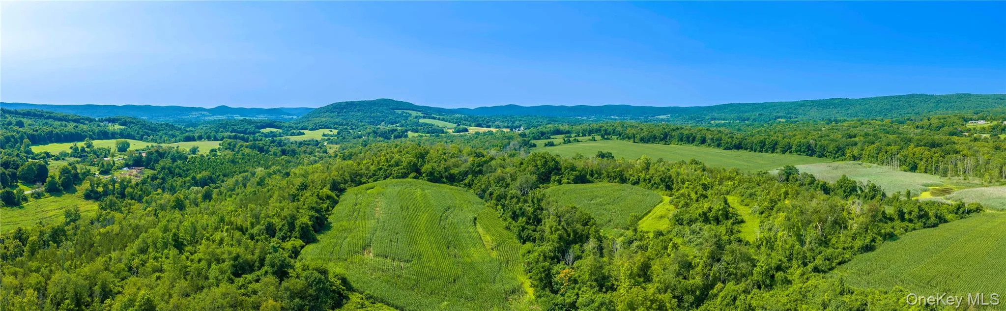 Ponds, streams, wetlands, and wooded areas create a diverse landscape that is particularly attractive for waterfowl hunting and other recreational pursuits. Ponds, streams, wetlands, and wooded areas create a diverse landscape that is particularly attractive for waterfowl hunting and other recreational pursuits.