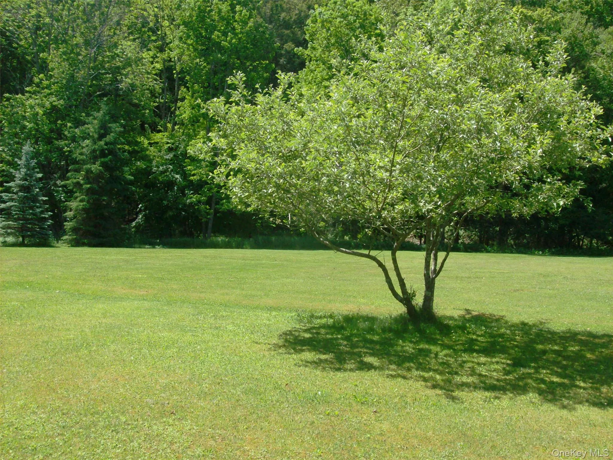 5 Riverside Drive, Rockland, NY, 3 Bedrooms Bedrooms, 7 Rooms Rooms,2 BathroomsBathrooms,Residential,For Rent,Riverside,0,1038795 5 Riverside Drive, Rockland, NY, 3 Bedrooms Bedrooms, 7 Rooms Rooms,2 BathroomsBathrooms,Residential,For Rent,Riverside,0,1038795