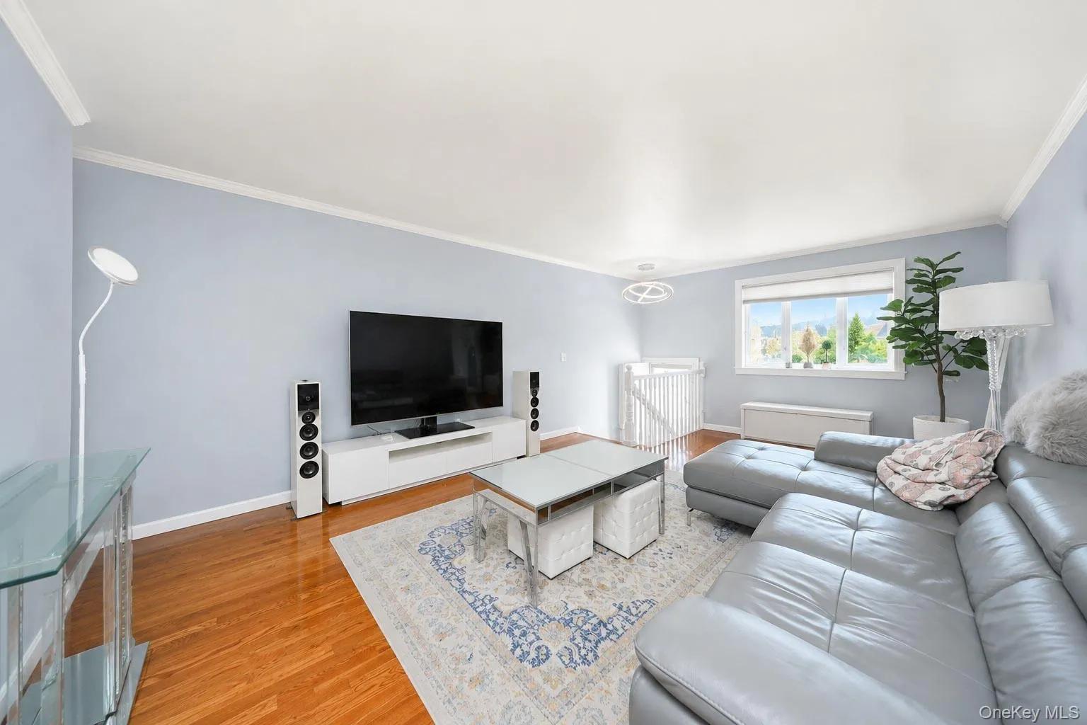 493 Medina Street, New York, NY, 3 Bedrooms Bedrooms, 9 Rooms Rooms,1 BathroomBathrooms,Residential,For Rent,Medina,0,1038812 493 Medina Street, New York, NY, 3 Bedrooms Bedrooms, 9 Rooms Rooms,1 BathroomBathrooms,Residential,For Rent,Medina,0,1038812