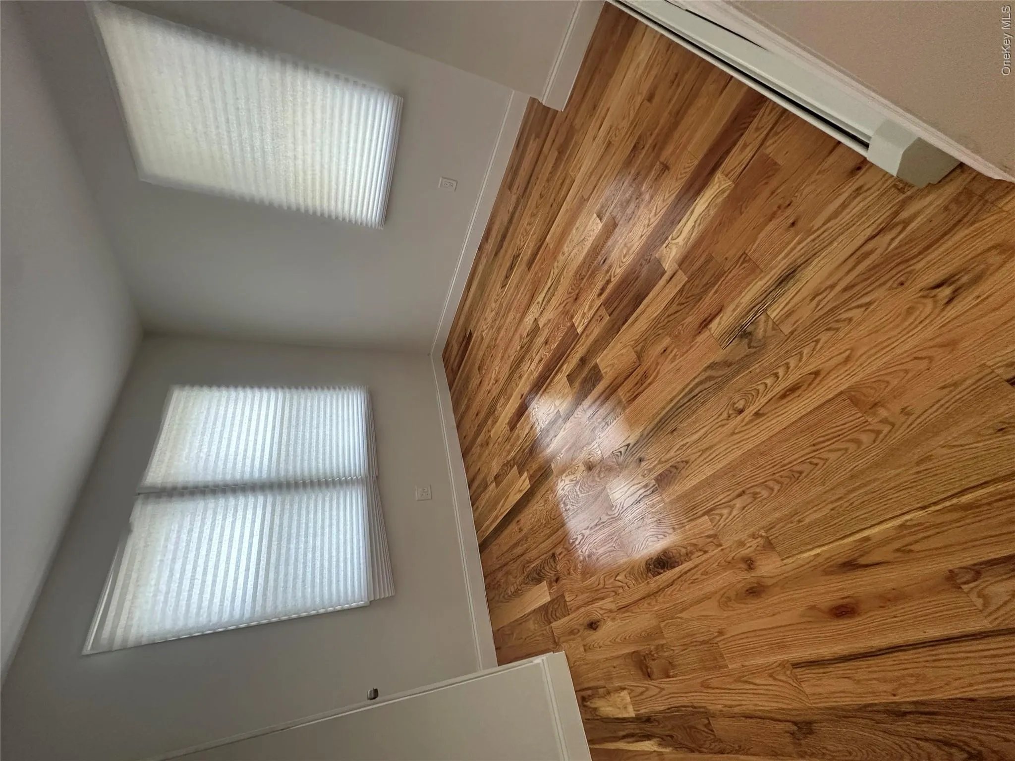 6918 69th Street, New York, NY, 3 Bedrooms Bedrooms, 8 Rooms Rooms,2 BathroomsBathrooms,Residential,For Rent,69th,0,1038841 6918 69th Street, New York, NY, 3 Bedrooms Bedrooms, 8 Rooms Rooms,2 BathroomsBathrooms,Residential,For Rent,69th,0,1038841