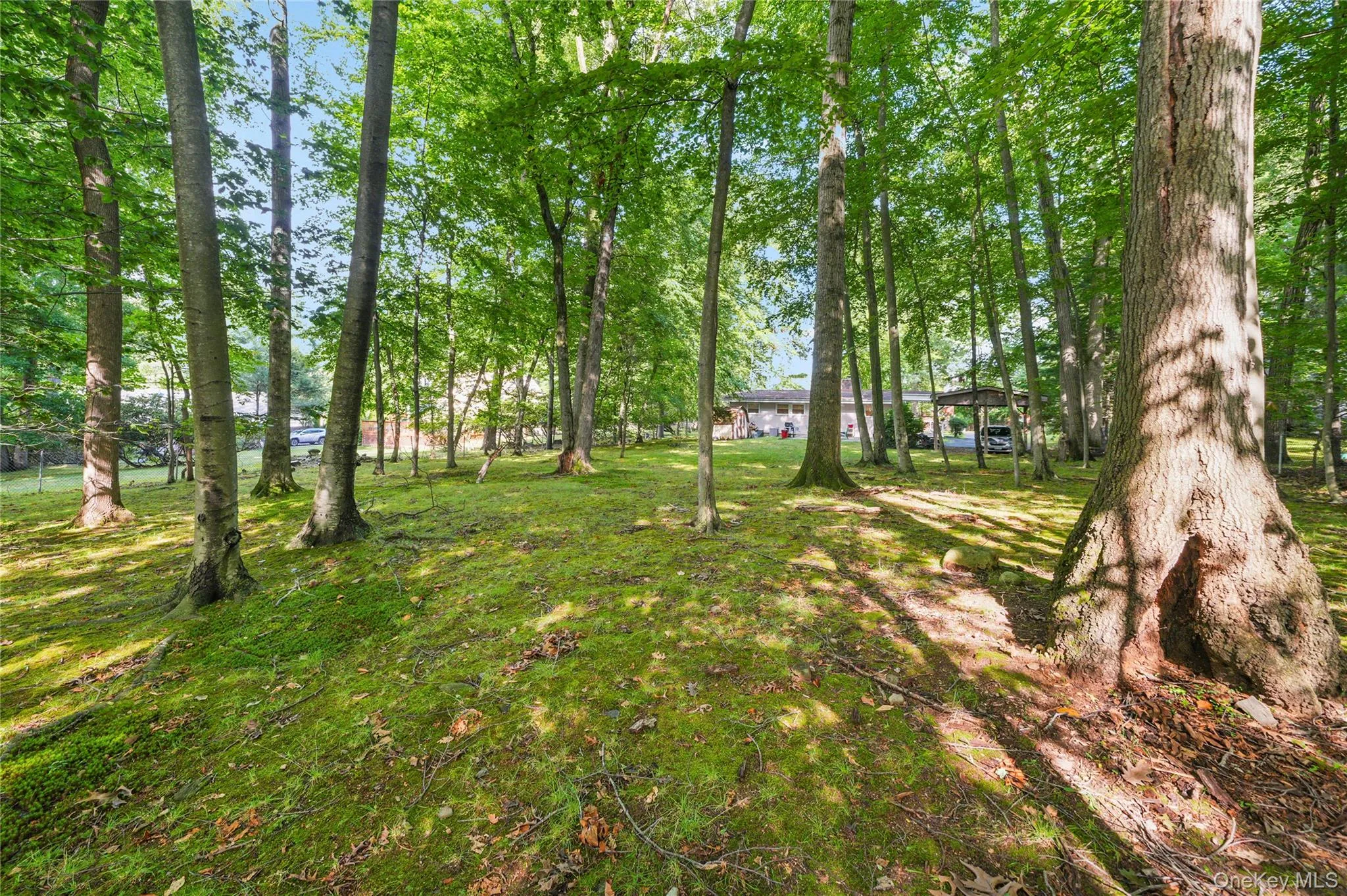 Partially wooded Partially wooded