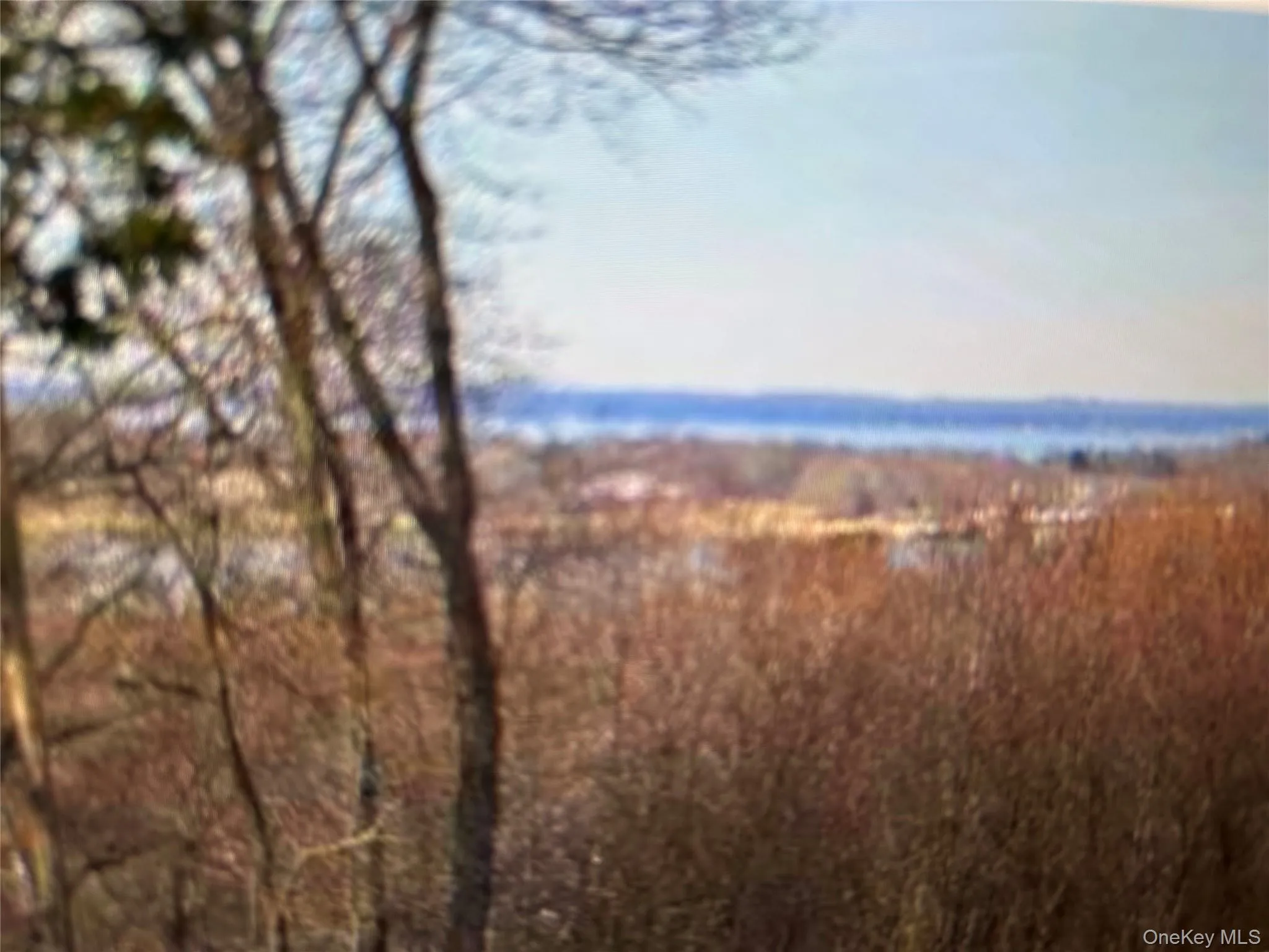 140 Cove Neck Road, Oyster Bay, NY, 4 Bedrooms Bedrooms, 8 Rooms Rooms,3 BathroomsBathrooms,Residential,For Rent,Cove Neck,0,1038854 140 Cove Neck Road, Oyster Bay, NY, 4 Bedrooms Bedrooms, 8 Rooms Rooms,3 BathroomsBathrooms,Residential,For Rent,Cove Neck,0,1038854