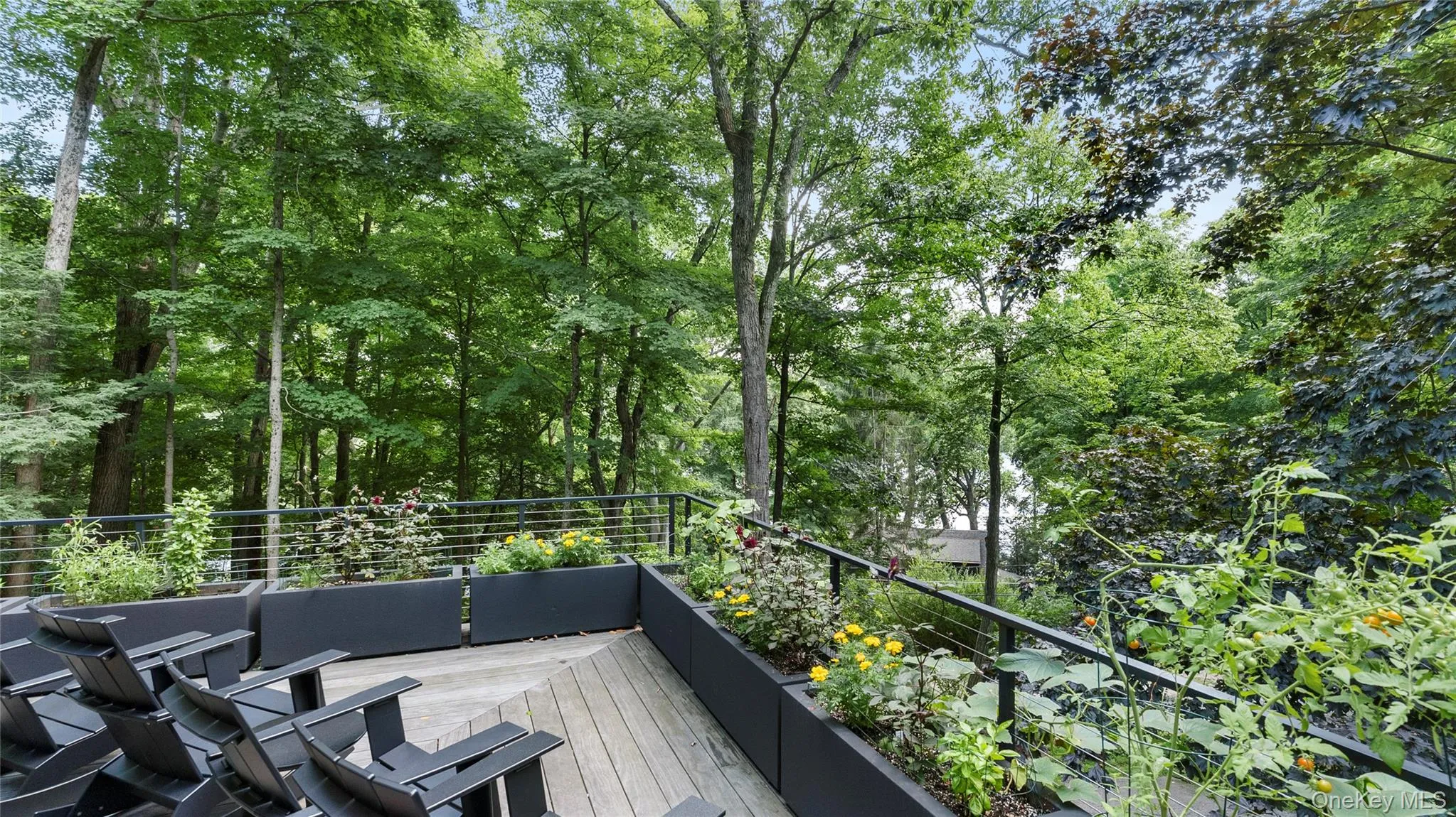 Tucked into the treetops, the deck feels remarkably private and connected to nature. Tucked into the treetops, the deck feels remarkably private and connected to nature.