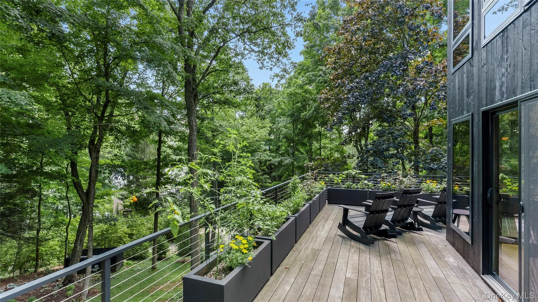 Expansive Accoya deck Expansive Accoya deck