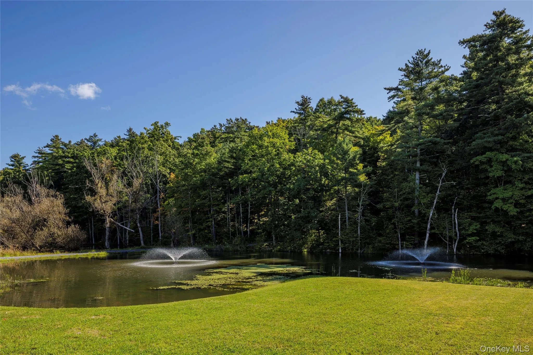 98 Scannell Road, Ghent, NY, 2 Bedrooms Bedrooms, 5 Rooms Rooms,2 BathroomsBathrooms,Residential,For Rent,Scannell,0,1038870 98 Scannell Road, Ghent, NY, 2 Bedrooms Bedrooms, 5 Rooms Rooms,2 BathroomsBathrooms,Residential,For Rent,Scannell,0,1038870