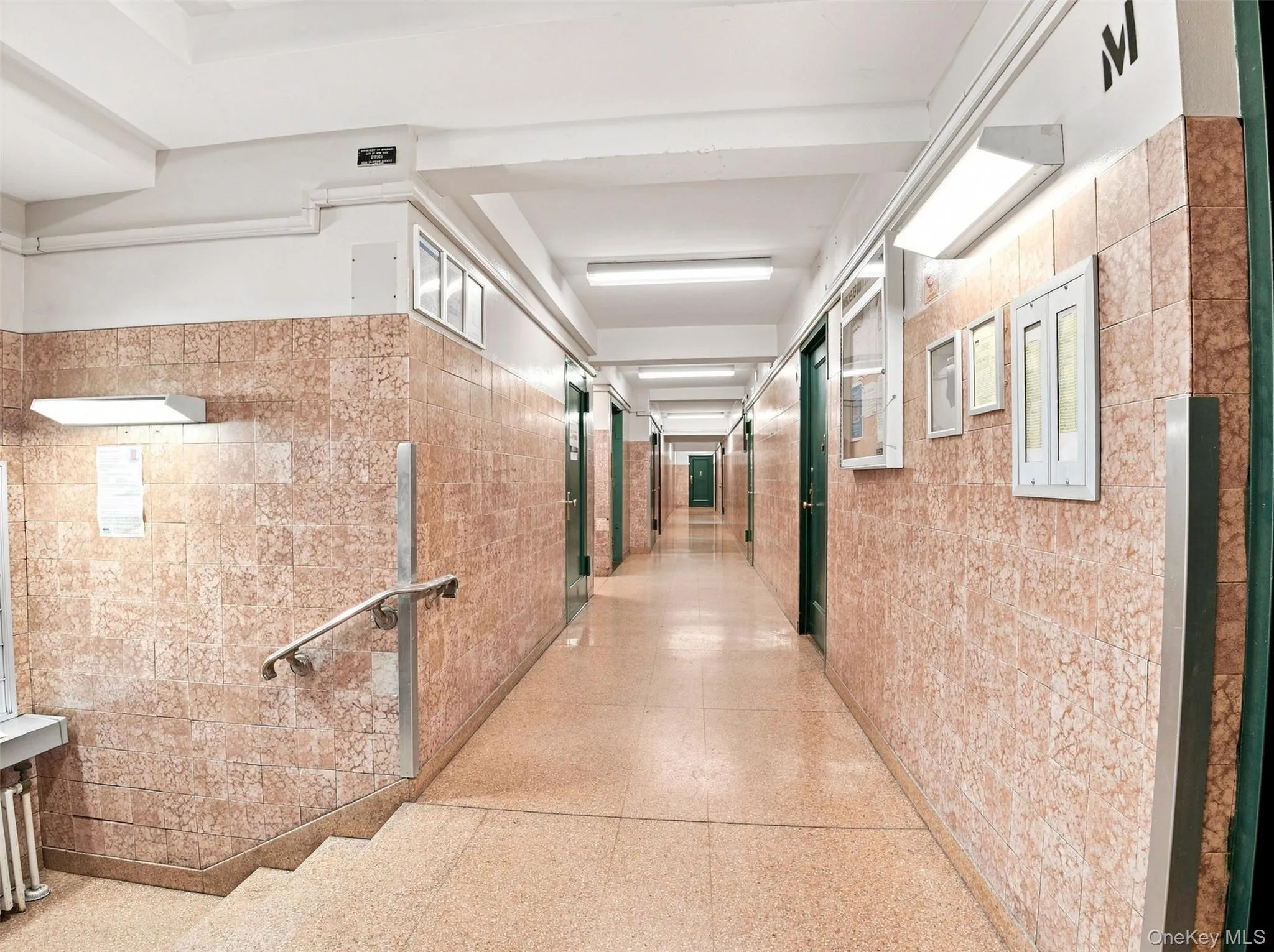 2049 Mc Graw Avenue, New York, NY, 1 Bedroom Bedrooms, 4 Rooms Rooms,1 BathroomBathrooms,Residential,For Rent,Mc Graw,0,1038872 2049 Mc Graw Avenue, New York, NY, 1 Bedroom Bedrooms, 4 Rooms Rooms,1 BathroomBathrooms,Residential,For Rent,Mc Graw,0,1038872