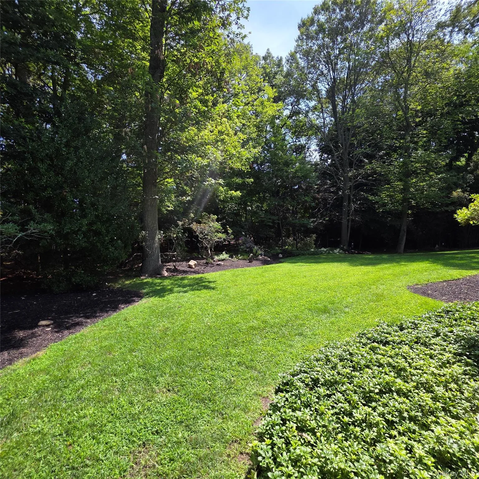 9 Cliff Road, Brookhaven, NY, 3 Bedrooms Bedrooms, 9 Rooms Rooms,2 BathroomsBathrooms,Residential Lease,For Rent,Cliff,0,1038889 9 Cliff Road, Brookhaven, NY, 3 Bedrooms Bedrooms, 9 Rooms Rooms,2 BathroomsBathrooms,Residential Lease,For Rent,Cliff,0,1038889
