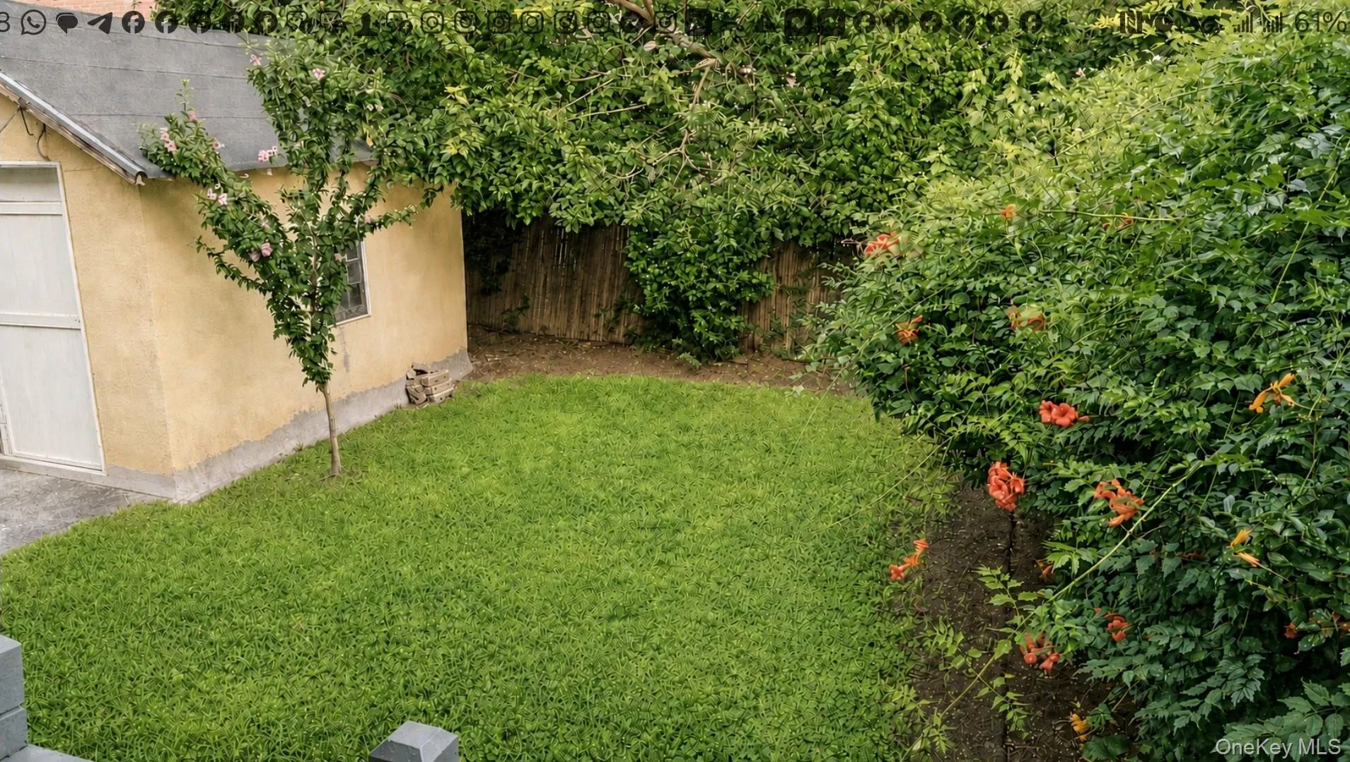 253 Fulton Avenue, Mount Vernon, NY, 3 Bedrooms Bedrooms, 6 Rooms Rooms,2 BathroomsBathrooms,Residential,For Rent,Fulton,0,1038895 253 Fulton Avenue, Mount Vernon, NY, 3 Bedrooms Bedrooms, 6 Rooms Rooms,2 BathroomsBathrooms,Residential,For Rent,Fulton,0,1038895