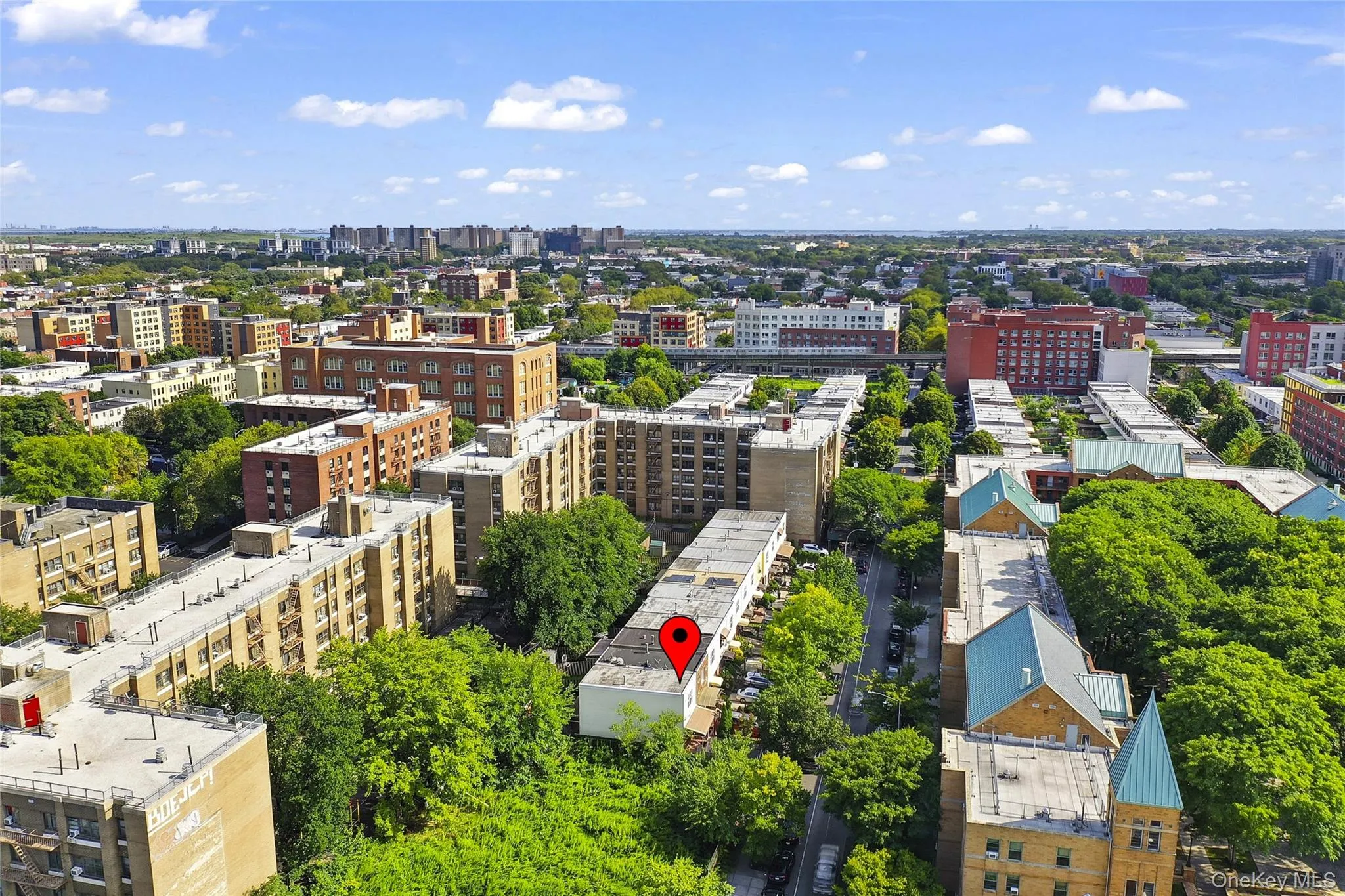 343 Hinsdale Street, New York, NY, 3 Bedrooms Bedrooms, 5 Rooms Rooms,1 BathroomBathrooms,Residential,For Rent,Hinsdale,0,1038906 343 Hinsdale Street, New York, NY, 3 Bedrooms Bedrooms, 5 Rooms Rooms,1 BathroomBathrooms,Residential,For Rent,Hinsdale,0,1038906