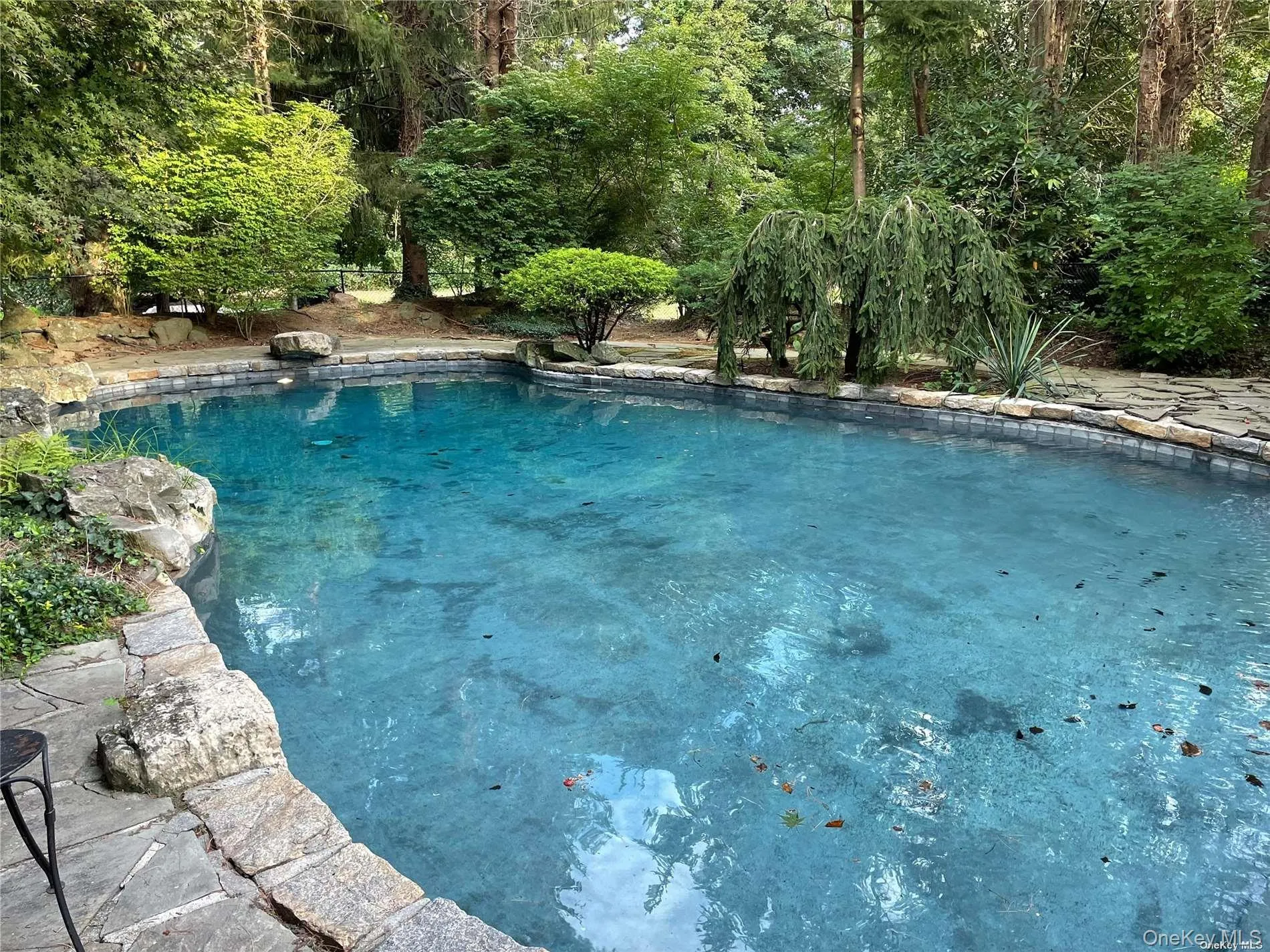 Free form heated pool Free form heated pool
