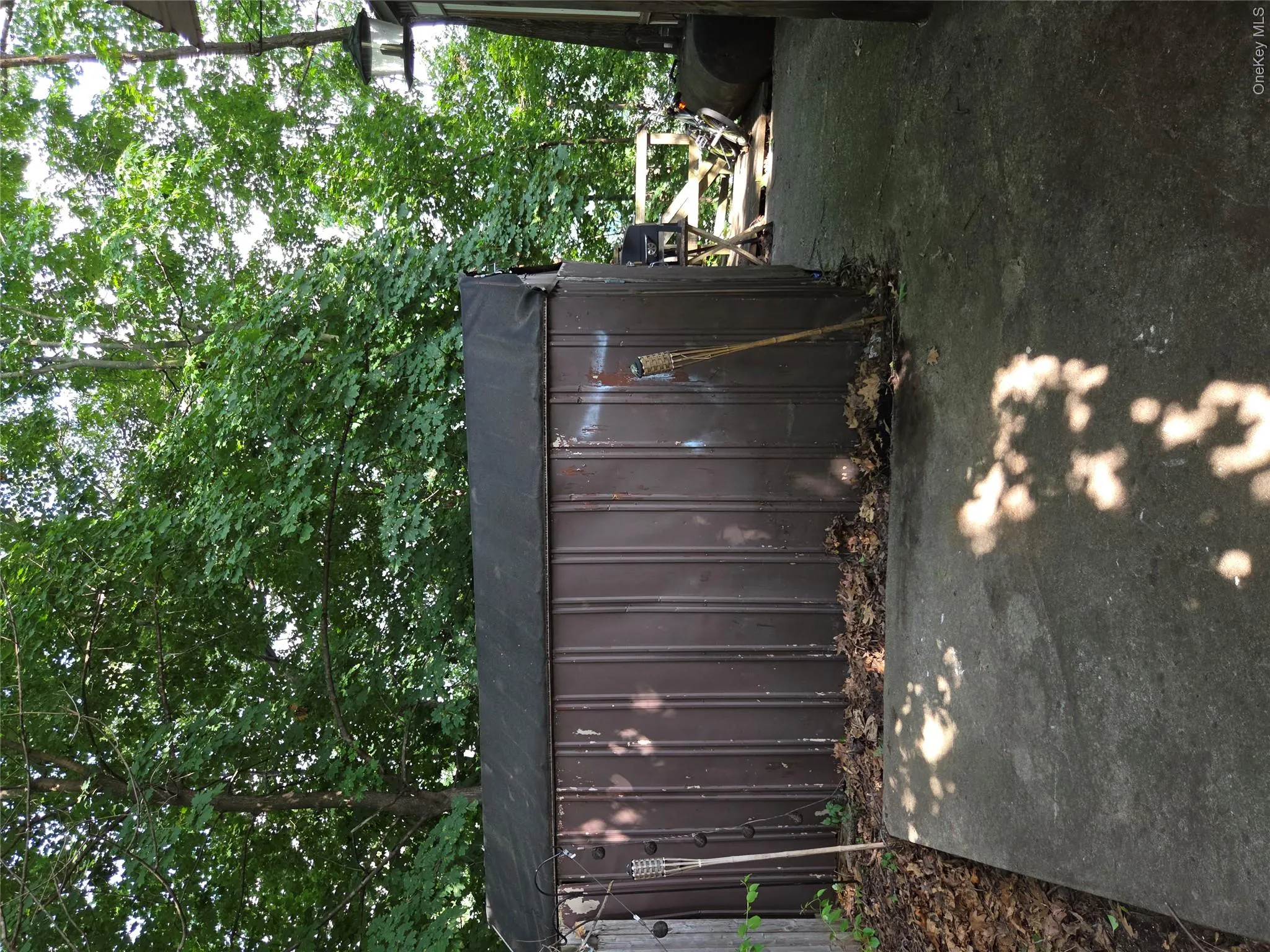 Shed Shed