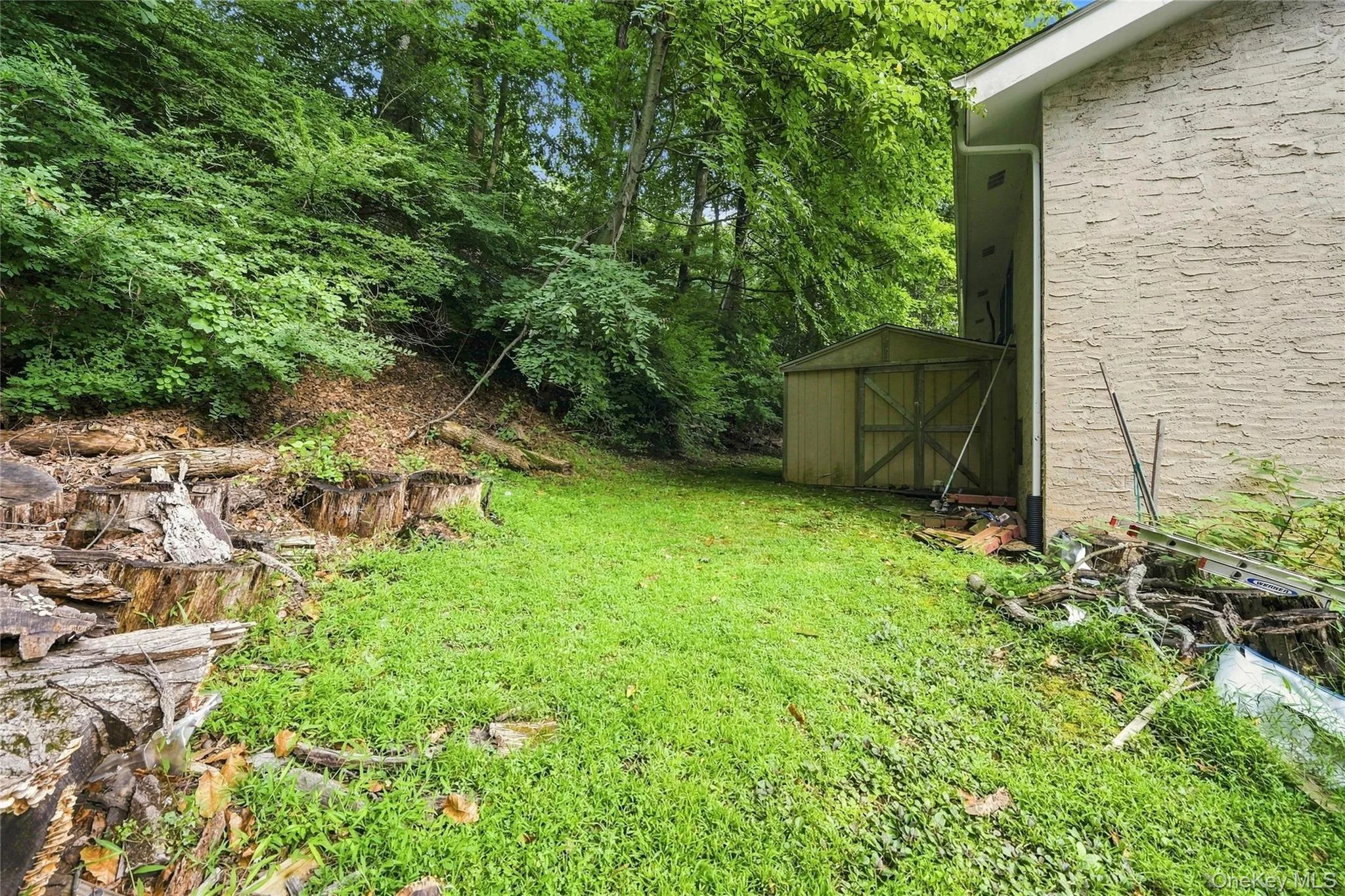 107 Stephenson Terrace, Mount Pleasant, NY, 3 Bedrooms Bedrooms, 7 Rooms Rooms,3 BathroomsBathrooms,Residential,For Rent,Stephenson,0,1038981 107 Stephenson Terrace, Mount Pleasant, NY, 3 Bedrooms Bedrooms, 7 Rooms Rooms,3 BathroomsBathrooms,Residential,For Rent,Stephenson,0,1038981