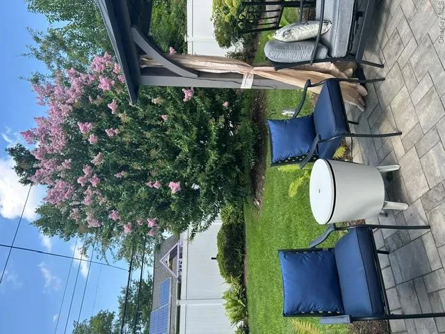 Paver patio with a gazebo structure, surrounded by a manicured lawn and mature flowering trees Paver patio with a gazebo structure, surrounded by a manicured lawn and mature flowering trees