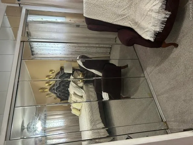 Mirrored closet doors and wall-to-wall carpeting Mirrored closet doors and wall-to-wall carpeting