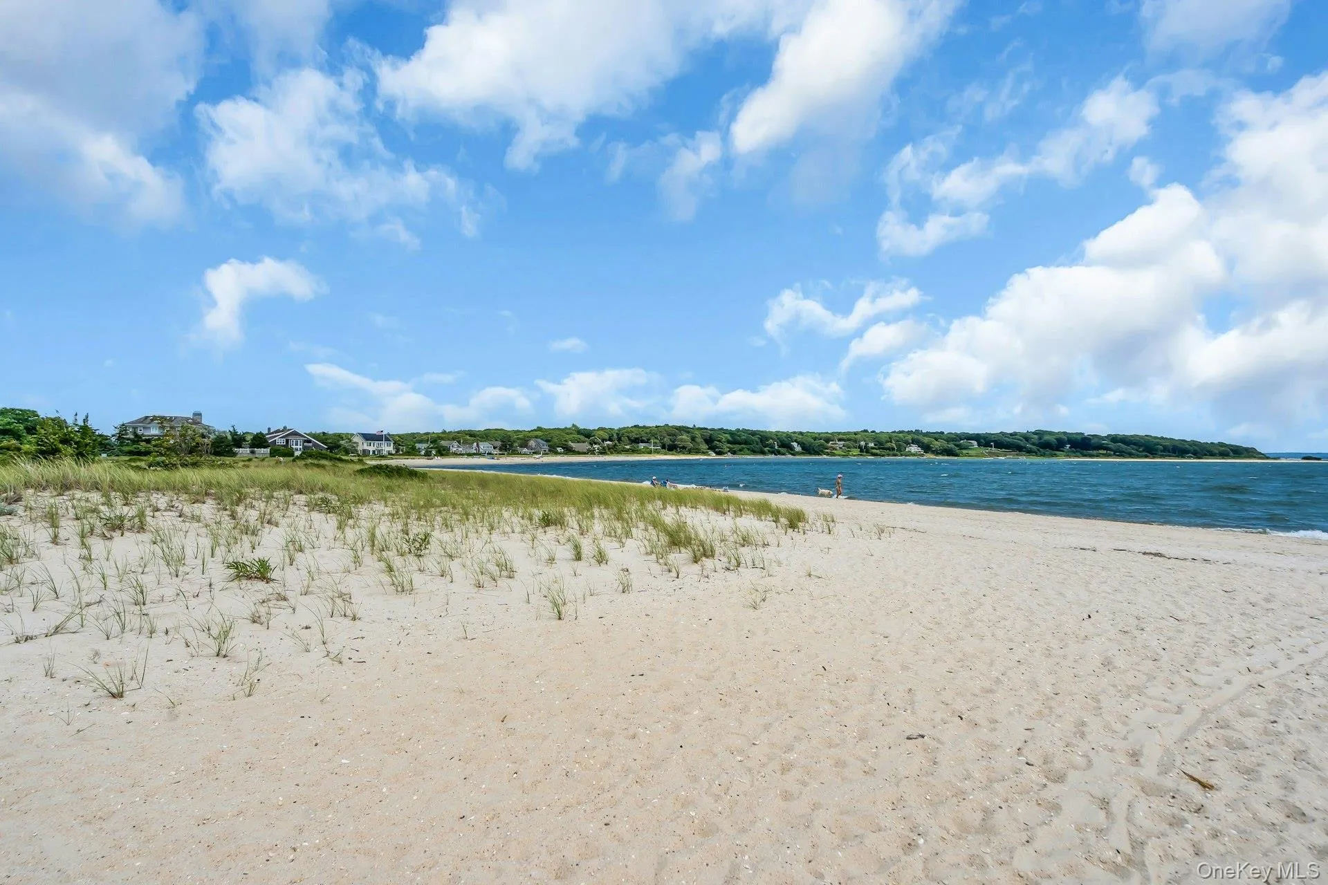 Sandy beach with natural dune grass and waterfront access Sandy beach with natural dune grass and waterfront access