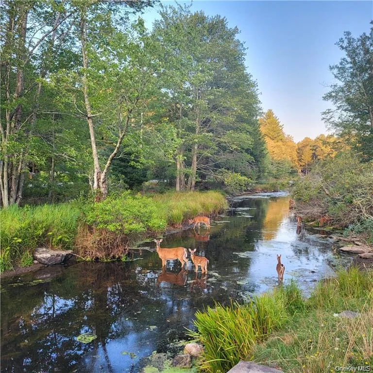 198 Pine Grove Road, Bethel, NY, 3 Bedrooms Bedrooms, 6 Rooms Rooms,1 BathroomBathrooms,Residential,For Rent,Pine Grove,0,1038995 198 Pine Grove Road, Bethel, NY, 3 Bedrooms Bedrooms, 6 Rooms Rooms,1 BathroomBathrooms,Residential,For Rent,Pine Grove,0,1038995