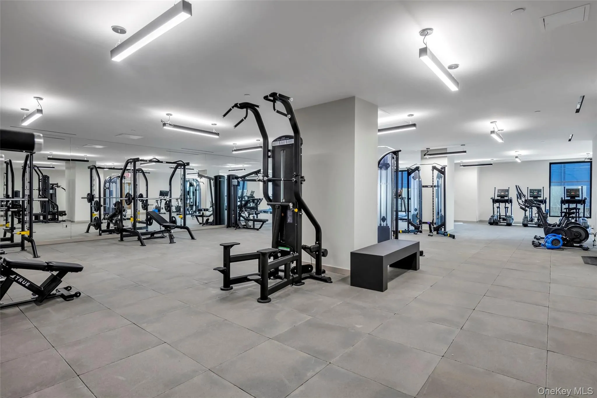 131-02B 40th Road, New York, NY, 1 Bedroom Bedrooms, 3 Rooms Rooms,1 BathroomBathrooms,Residential,For Rent,40th,0,1039007 131-02B 40th Road, New York, NY, 1 Bedroom Bedrooms, 3 Rooms Rooms,1 BathroomBathrooms,Residential,For Rent,40th,0,1039007
