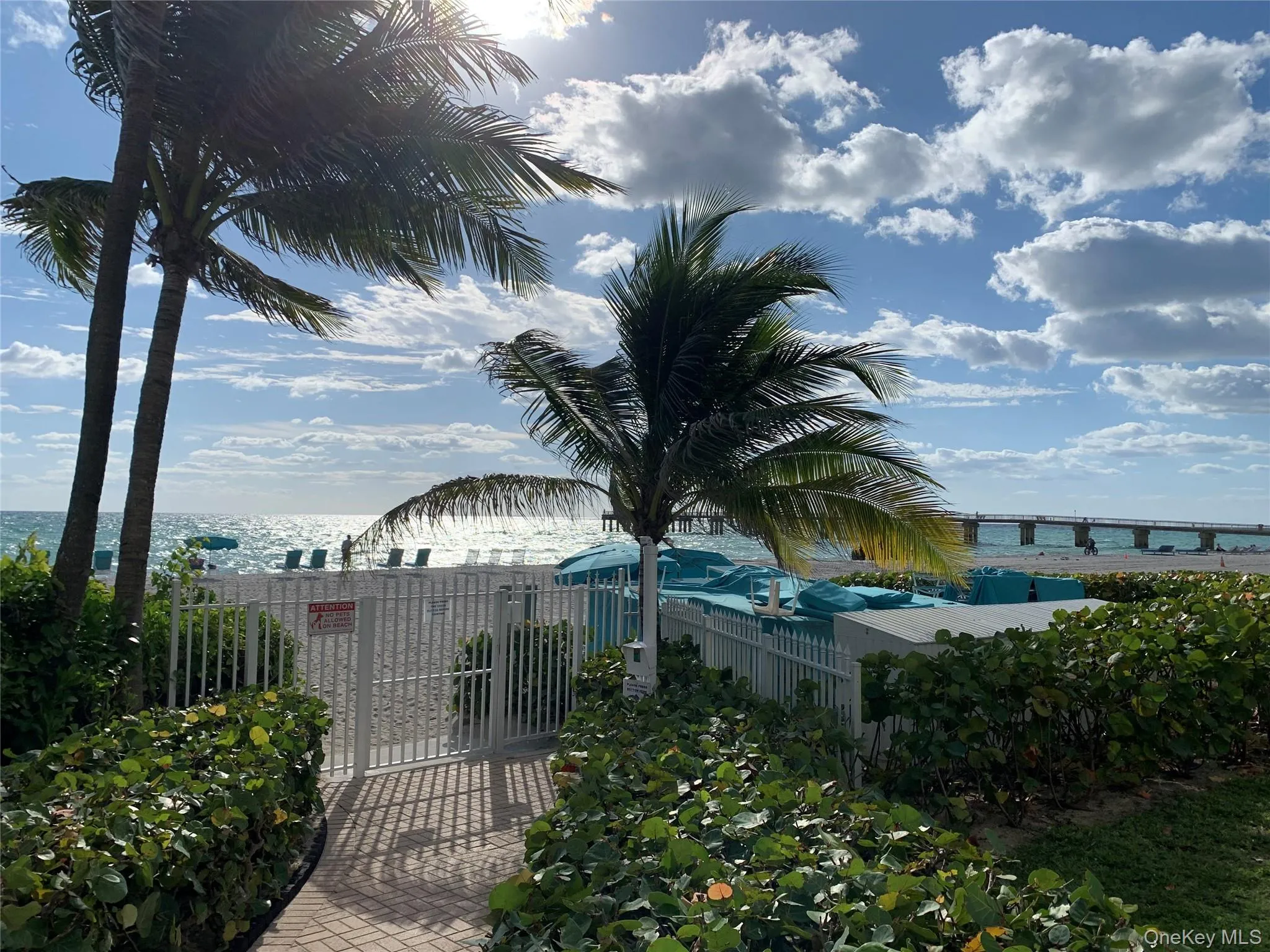 16711 Collins Avenue, Out Of Area, FL, 2 Bedrooms Bedrooms, 5 Rooms Rooms,2 BathroomsBathrooms,Residential Lease,For Rent,Collins,0,1039012 16711 Collins Avenue, Out Of Area, FL, 2 Bedrooms Bedrooms, 5 Rooms Rooms,2 BathroomsBathrooms,Residential Lease,For Rent,Collins,0,1039012