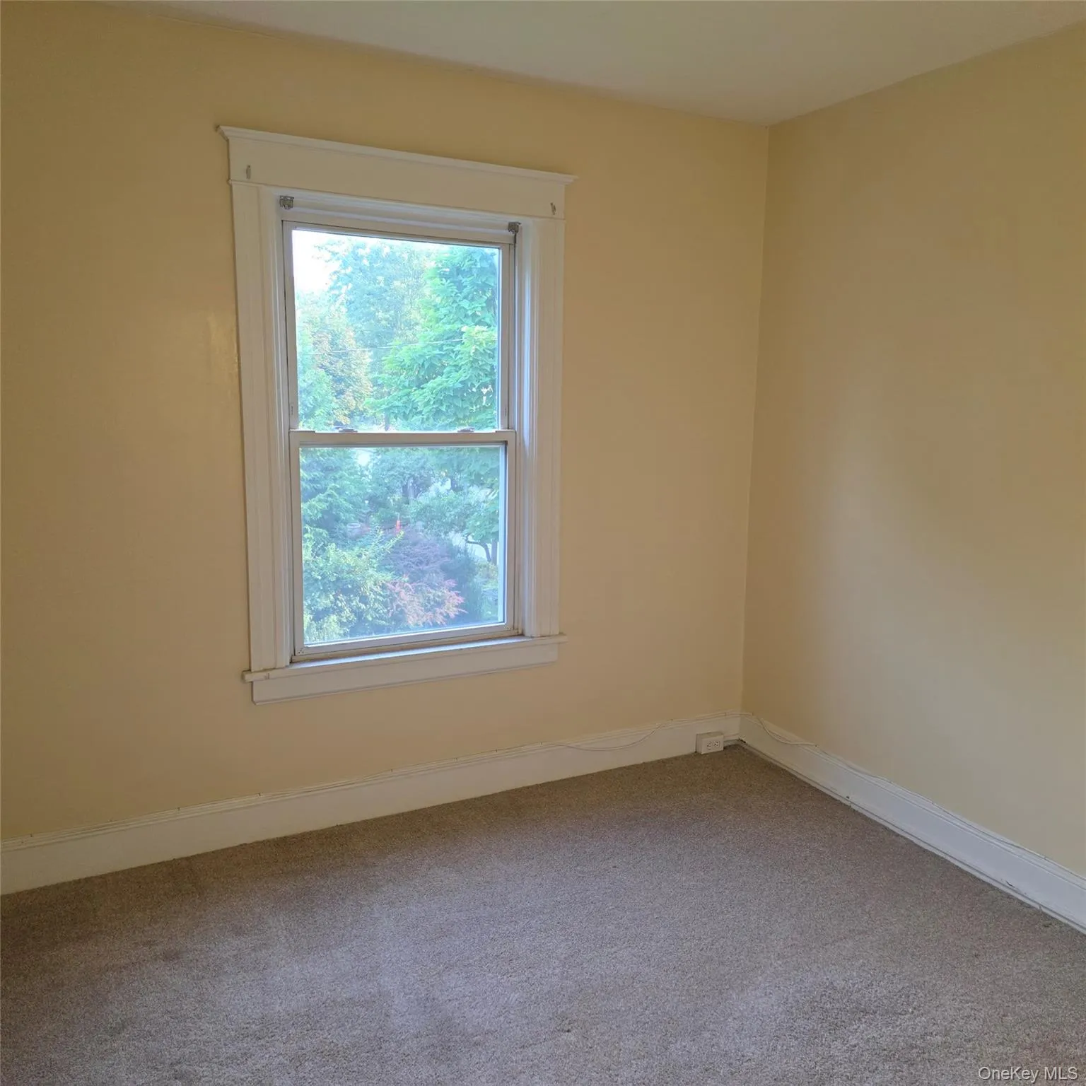 35 Manitou Avenue, Poughkeepsie, NY, 3 Bedrooms Bedrooms, 6 Rooms Rooms,1 BathroomBathrooms,Residential Lease,For Rent,Manitou,0,1039029 35 Manitou Avenue, Poughkeepsie, NY, 3 Bedrooms Bedrooms, 6 Rooms Rooms,1 BathroomBathrooms,Residential Lease,For Rent,Manitou,0,1039029