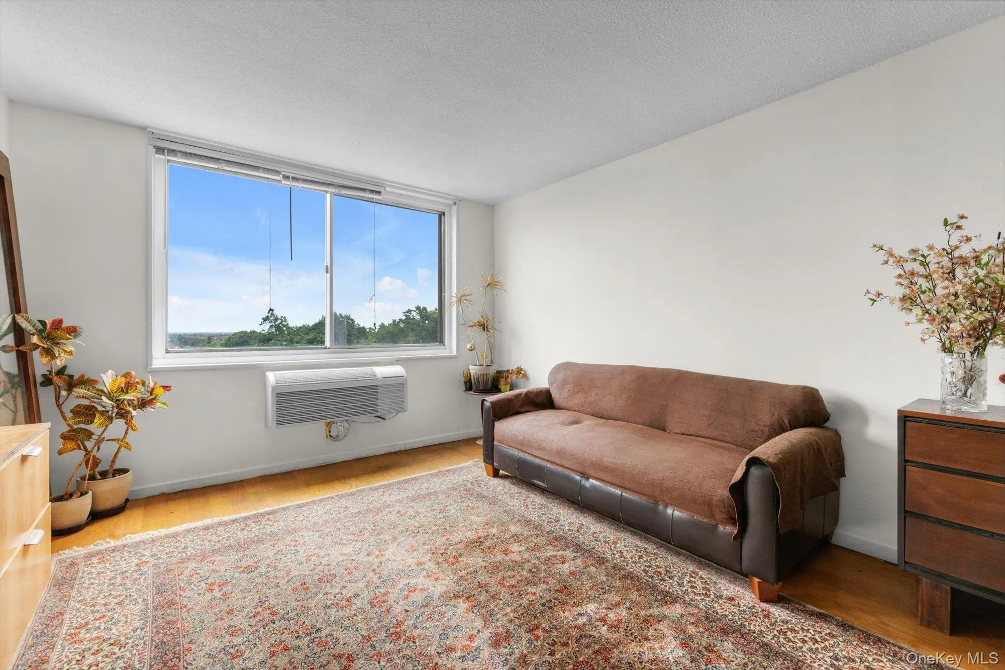 118-18 Union Turnpike, New York, NY, 3 Rooms Rooms,1 BathroomBathrooms,Residential,For Rent,Union,0,1039032 118-18 Union Turnpike, New York, NY, 3 Rooms Rooms,1 BathroomBathrooms,Residential,For Rent,Union,0,1039032
