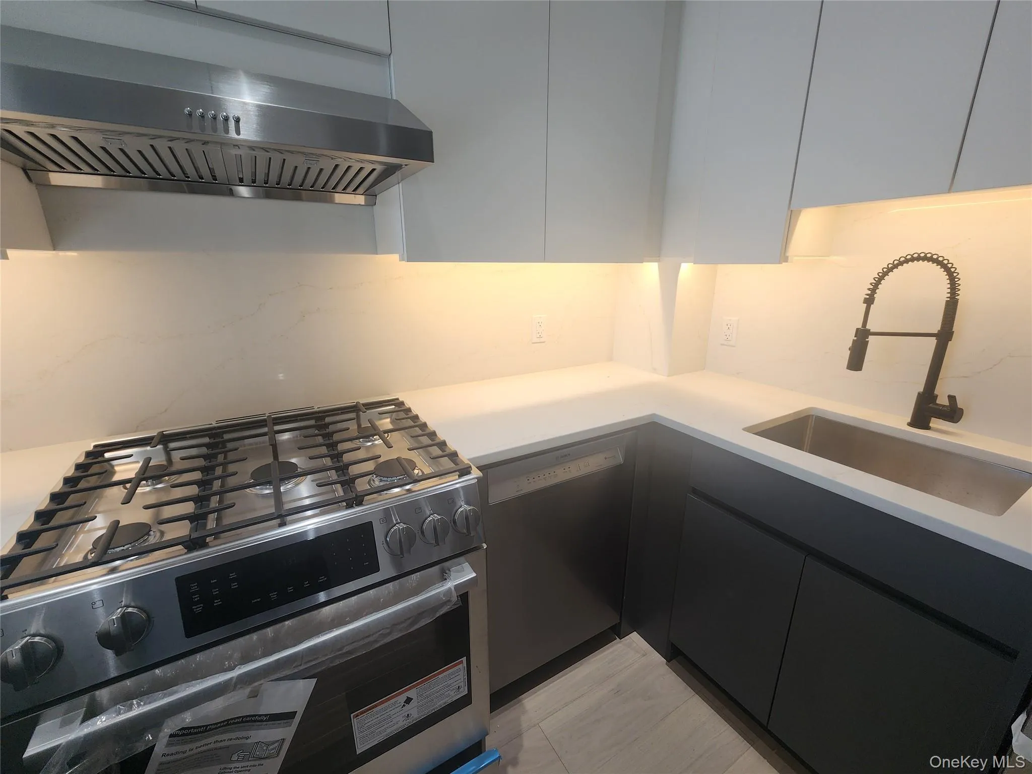 Stainless steel range with a coordinating range hood, undermount sink with a matte black faucet, integrated dishwasher, and under-cabinet lighting Stainless steel range with a coordinating range hood, undermount sink with a matte black faucet, integrated dishwasher, and under-cabinet lighting