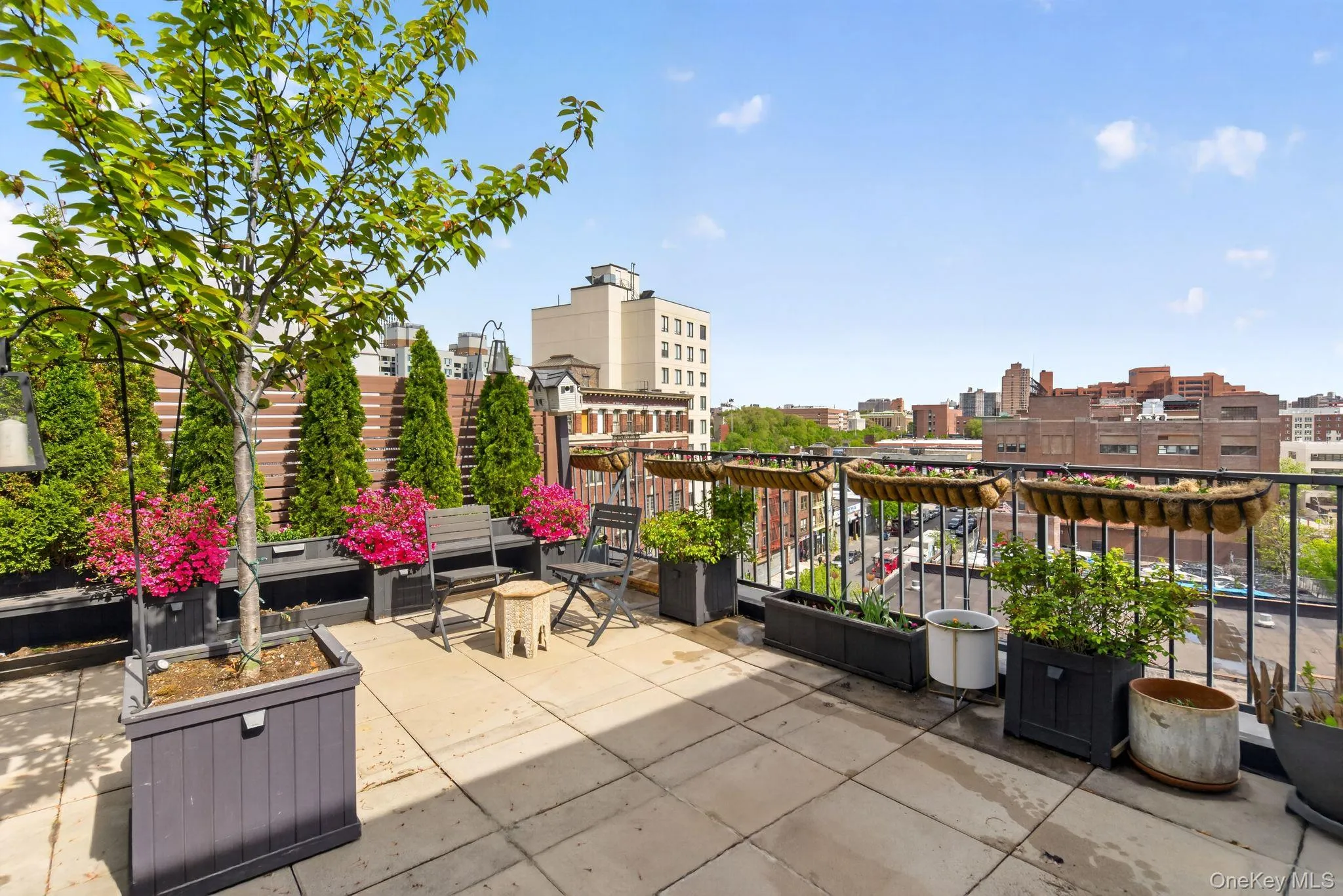 225 138 Street, New York, NY, 2 Bedrooms Bedrooms, 6 Rooms Rooms,2 BathroomsBathrooms,Residential Lease,For Rent,138,0,1039101 225 138 Street, New York, NY, 2 Bedrooms Bedrooms, 6 Rooms Rooms,2 BathroomsBathrooms,Residential Lease,For Rent,138,0,1039101