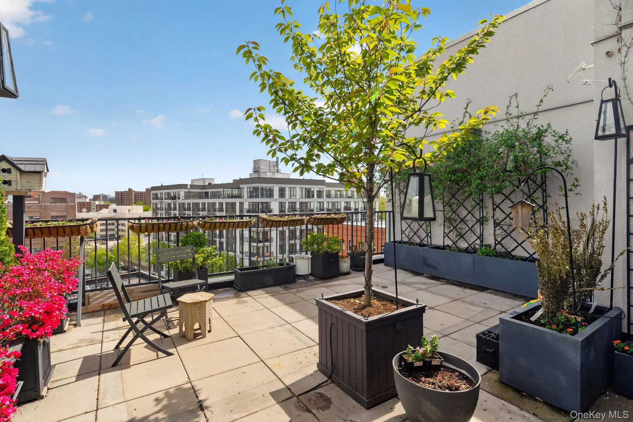 225 138 Street, New York, NY, 2 Bedrooms Bedrooms, 6 Rooms Rooms,2 BathroomsBathrooms,Residential Lease,For Rent,138,0,1039101 225 138 Street, New York, NY, 2 Bedrooms Bedrooms, 6 Rooms Rooms,2 BathroomsBathrooms,Residential Lease,For Rent,138,0,1039101