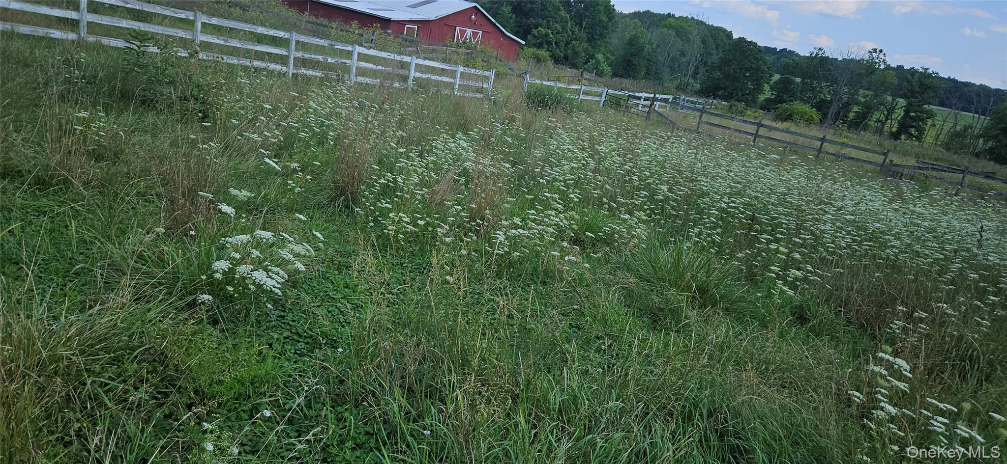 36 Searsville Road, Montgomery, NY, 3 Bedrooms Bedrooms, 7 Rooms Rooms,2 BathroomsBathrooms,Residential,For Rent,Searsville,0,1039103 36 Searsville Road, Montgomery, NY, 3 Bedrooms Bedrooms, 7 Rooms Rooms,2 BathroomsBathrooms,Residential,For Rent,Searsville,0,1039103