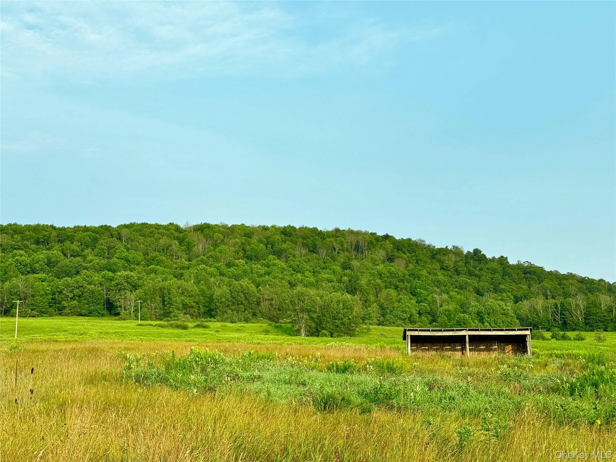 299 WALT PHILLIPS, Guilford, NY, ,Land,For Rent,WALT PHILLIPS,0,1039104 299 WALT PHILLIPS, Guilford, NY, ,Land,For Rent,WALT PHILLIPS,0,1039104