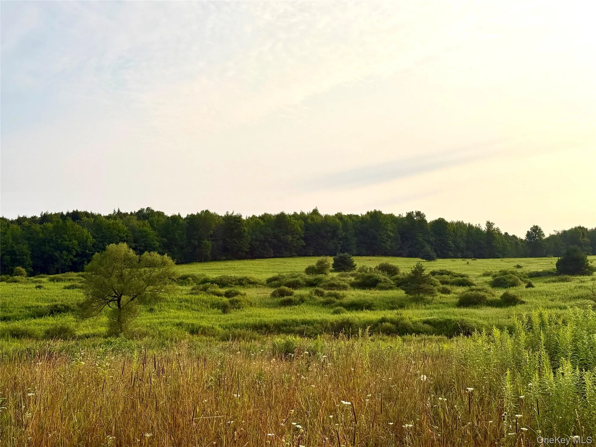299 WALT PHILLIPS, Guilford, NY, ,Land,For Rent,WALT PHILLIPS,0,1039104 299 WALT PHILLIPS, Guilford, NY, ,Land,For Rent,WALT PHILLIPS,0,1039104