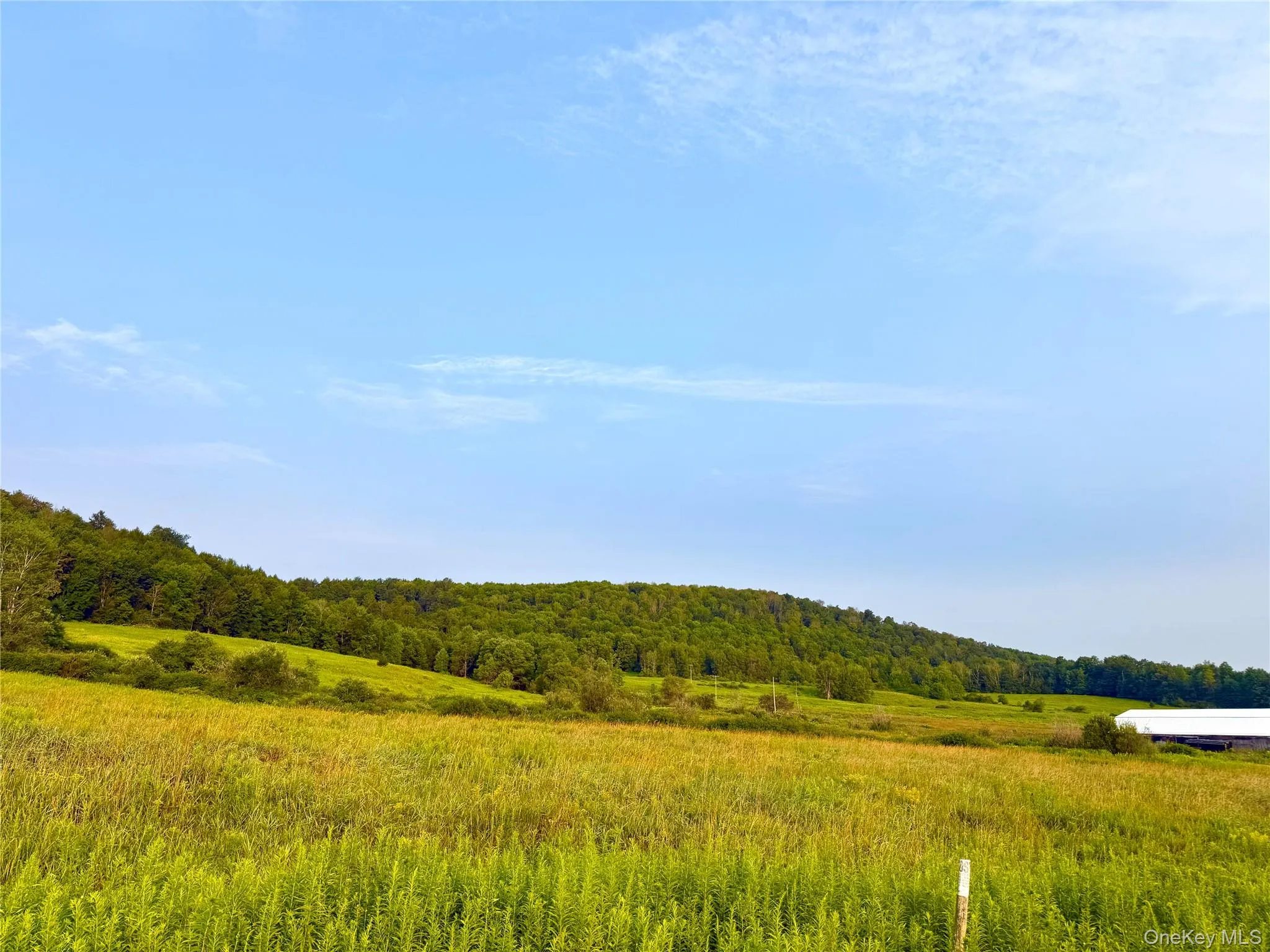 299 WALT PHILLIPS, Guilford, NY, ,Land,For Rent,WALT PHILLIPS,0,1039104 299 WALT PHILLIPS, Guilford, NY, ,Land,For Rent,WALT PHILLIPS,0,1039104