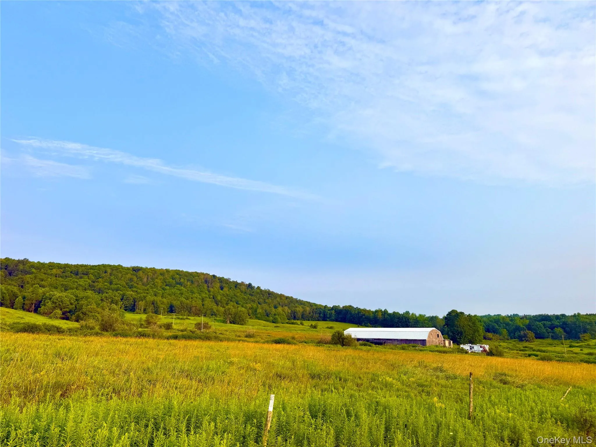 299 WALT PHILLIPS, Guilford, NY, ,Land,For Rent,WALT PHILLIPS,0,1039104 299 WALT PHILLIPS, Guilford, NY, ,Land,For Rent,WALT PHILLIPS,0,1039104