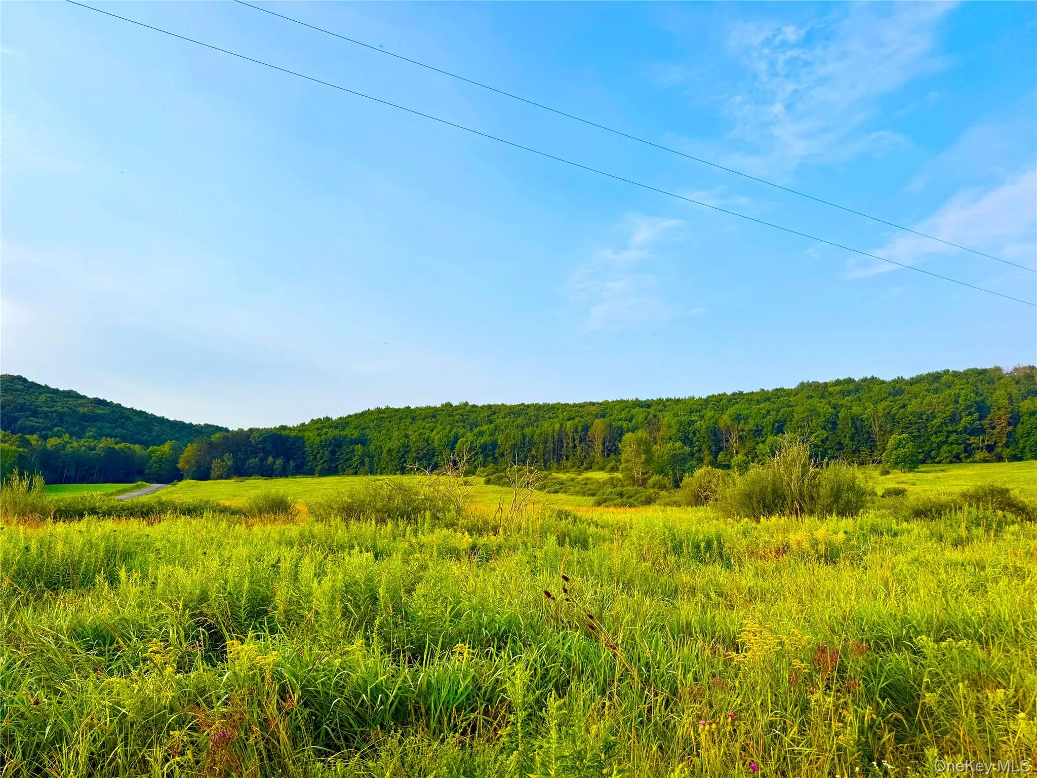299 WALT PHILLIPS, Guilford, NY, ,Land,For Rent,WALT PHILLIPS,0,1039104 299 WALT PHILLIPS, Guilford, NY, ,Land,For Rent,WALT PHILLIPS,0,1039104