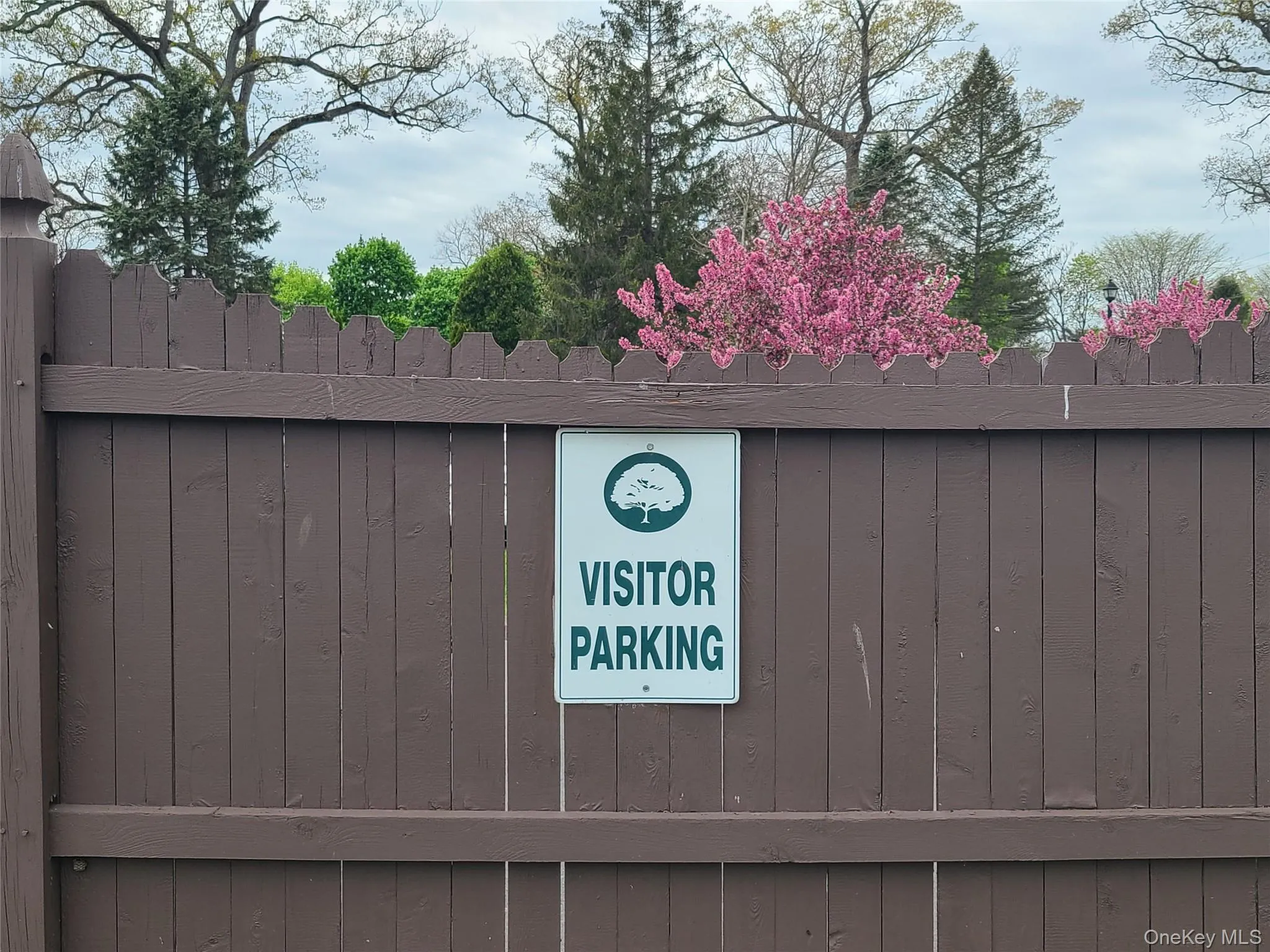 Park in Visitor spaces please! Park in Visitor spaces please!