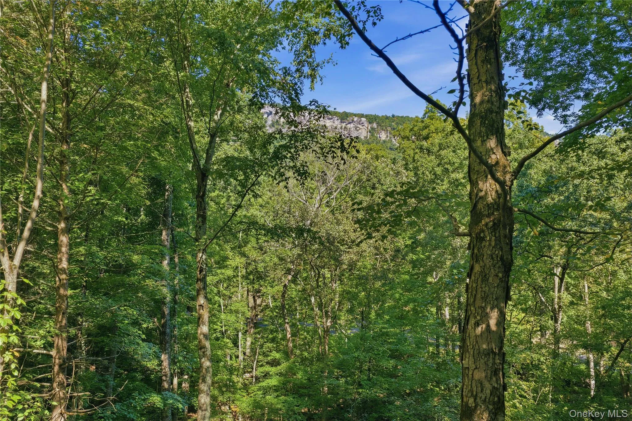 2 Durmo Road, Gardiner, NY, 3 Bedrooms Bedrooms, 7 Rooms Rooms,2 BathroomsBathrooms,Residential,For Rent,Durmo,0,1039110 2 Durmo Road, Gardiner, NY, 3 Bedrooms Bedrooms, 7 Rooms Rooms,2 BathroomsBathrooms,Residential,For Rent,Durmo,0,1039110