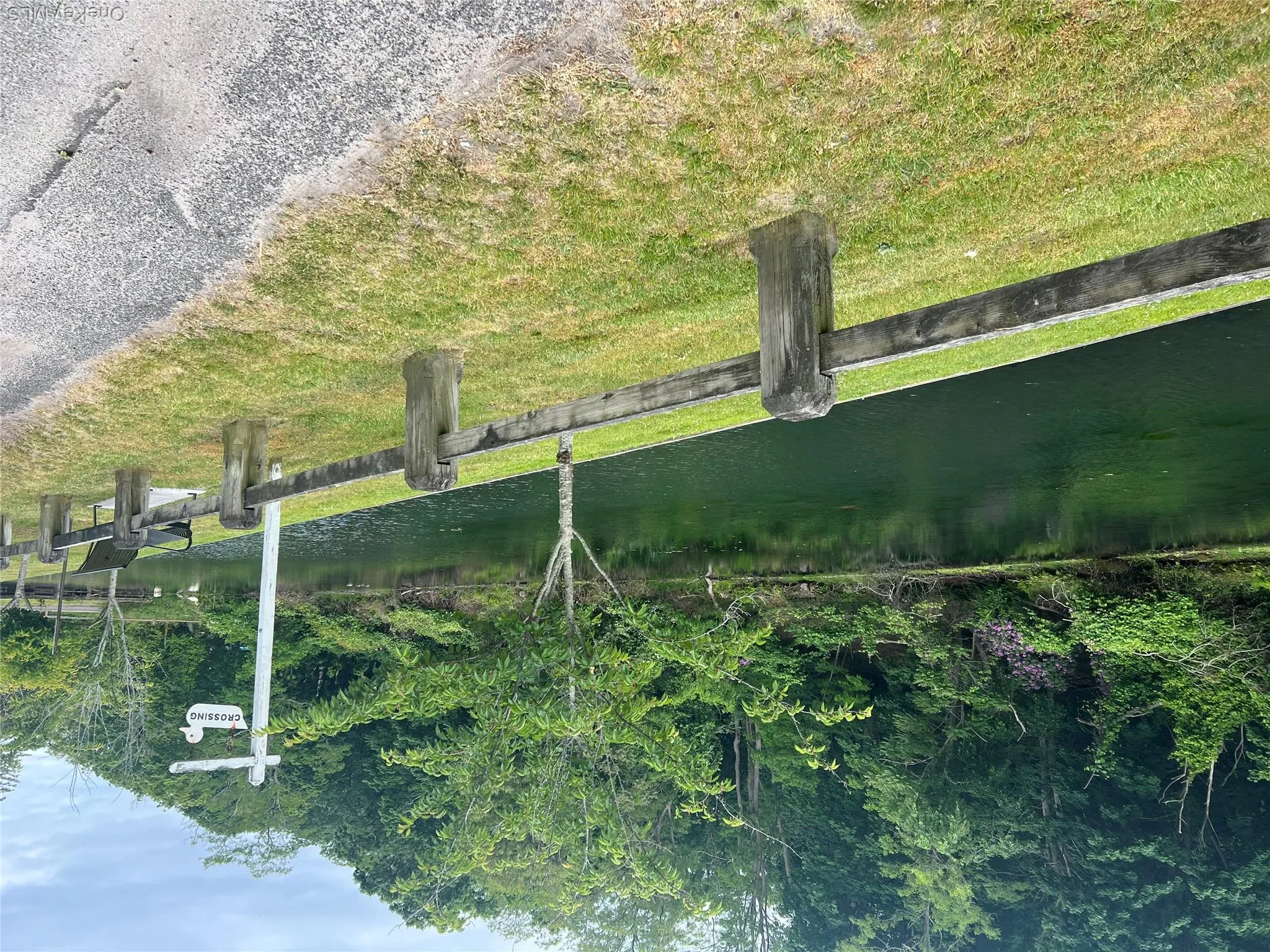 Water view with a heavily wooded area Water view with a heavily wooded area