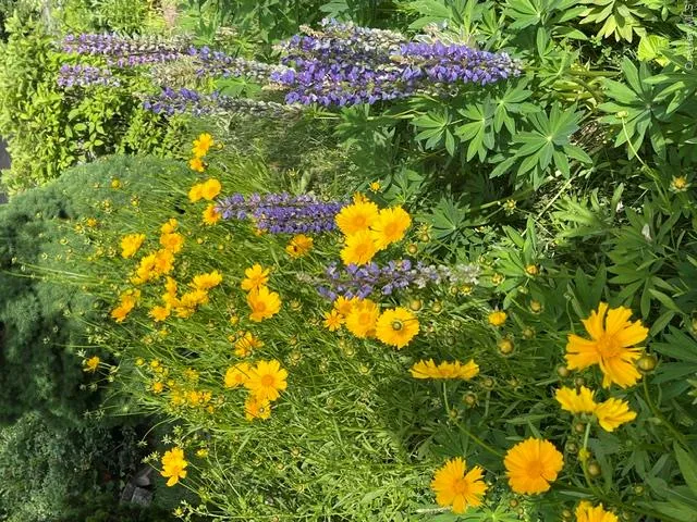 Gorgeous Flowering Gardens around the property Gorgeous Flowering Gardens around the property